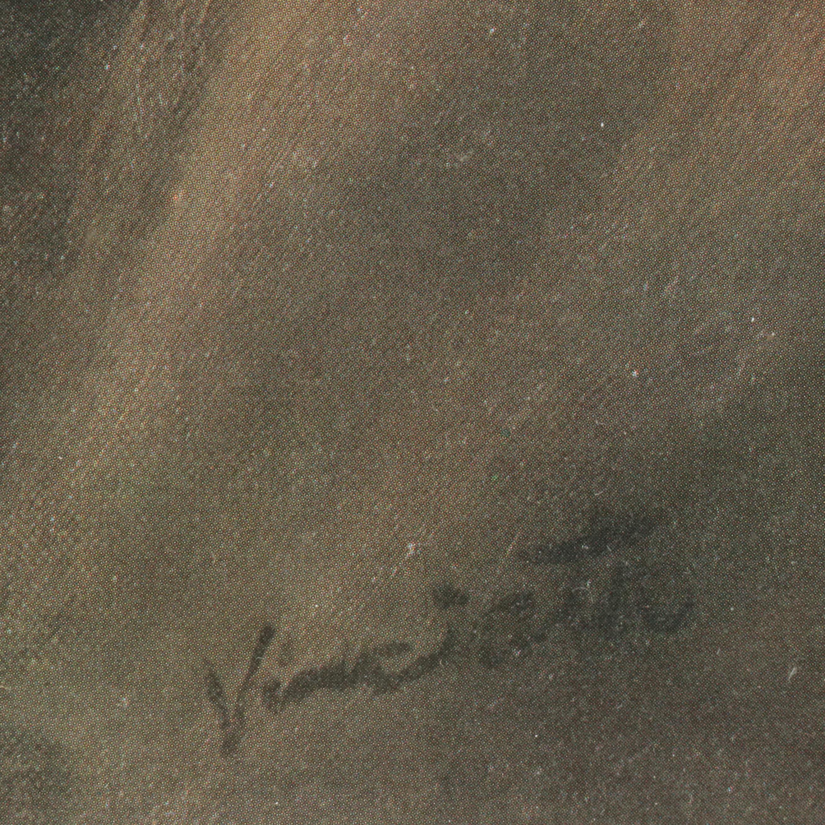 After Joseph Wallace King Offset Lithograph "Broken Silence"