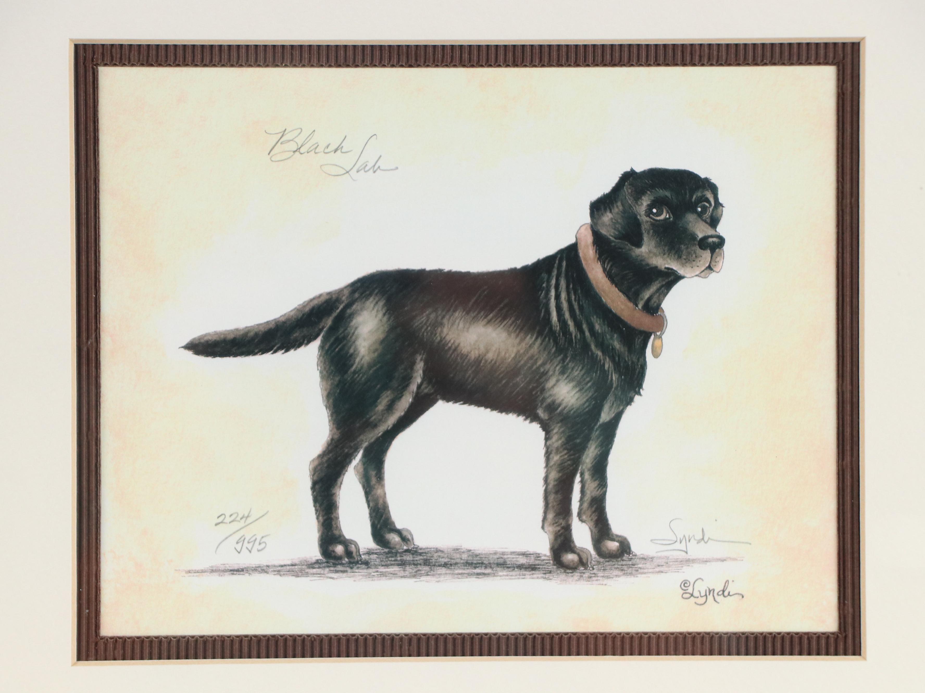 Lyndi Lende Offset Lithographs of Dog Illustrations "Golden Retriever" and More