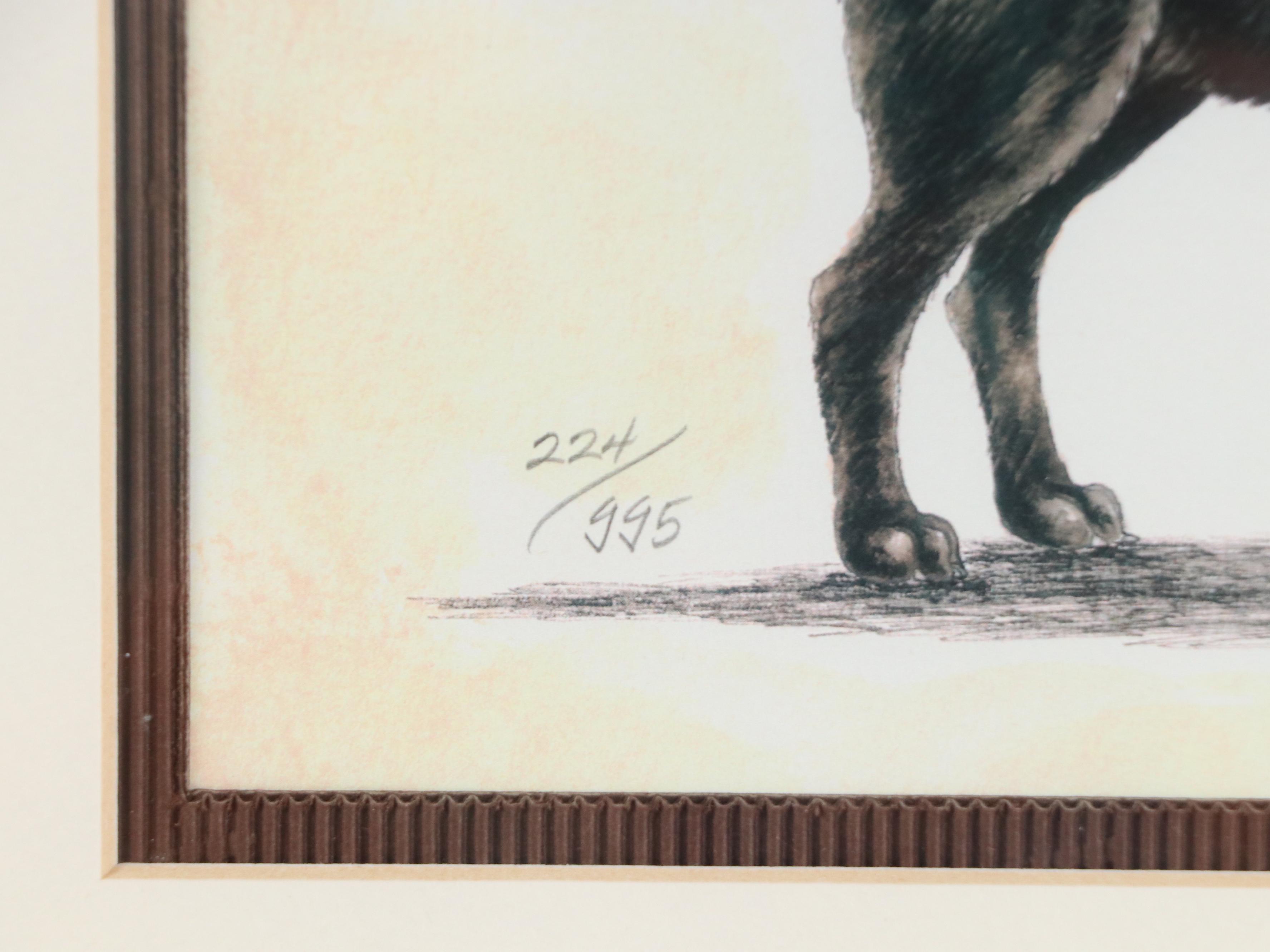 Lyndi Lende Offset Lithographs of Dog Illustrations "Golden Retriever" and More