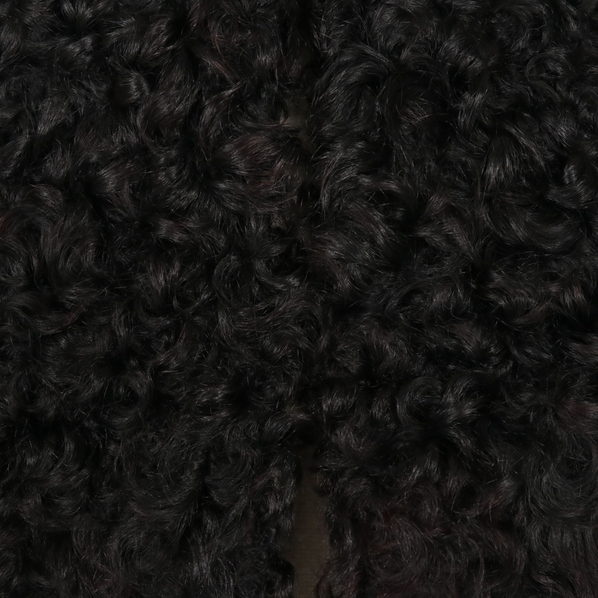 Black Curly Lamb Fur Capelet Stole