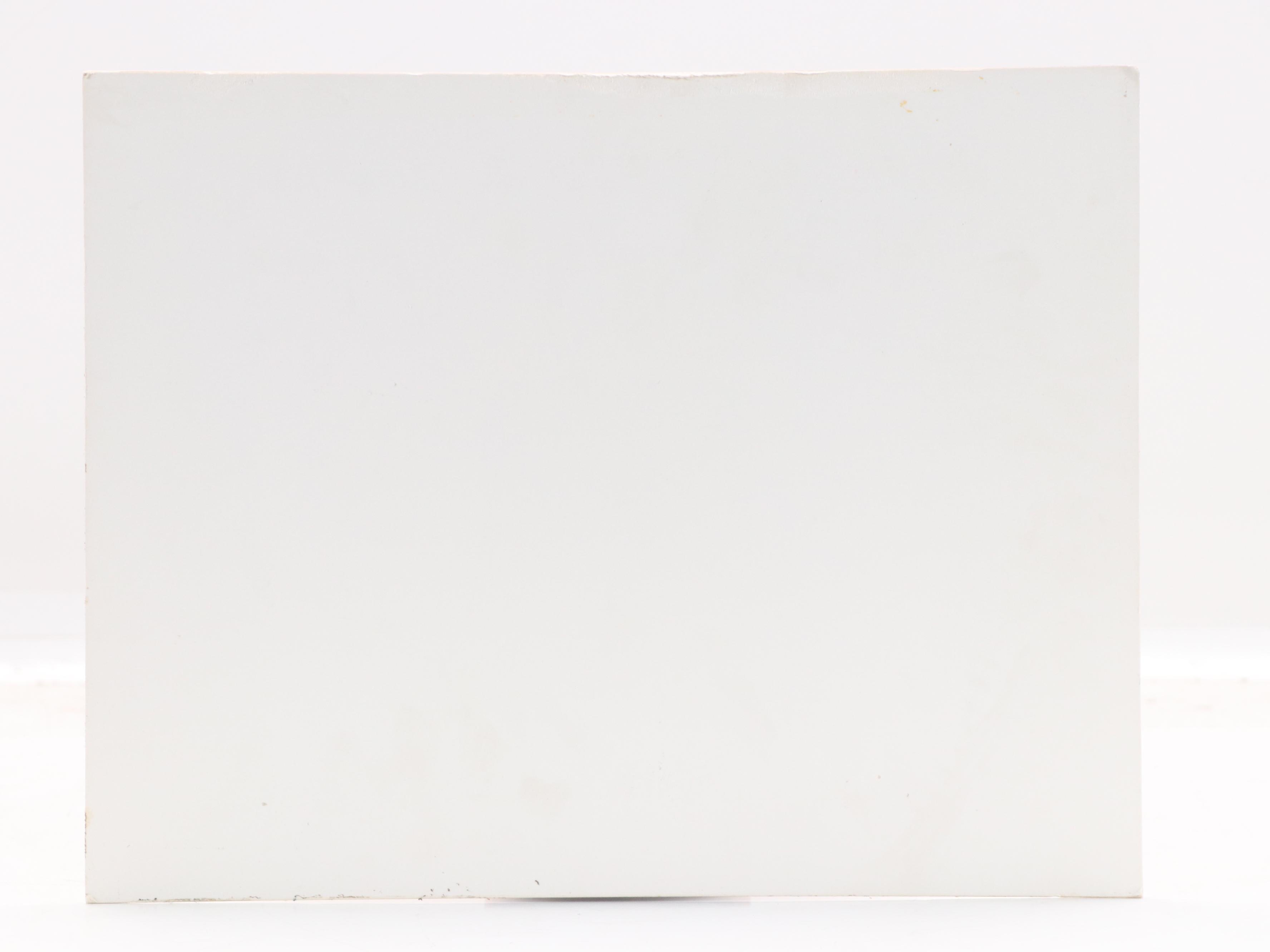 "Teenage Mutant Ninja Turtles" Reproduction Cel, Late 20th Century