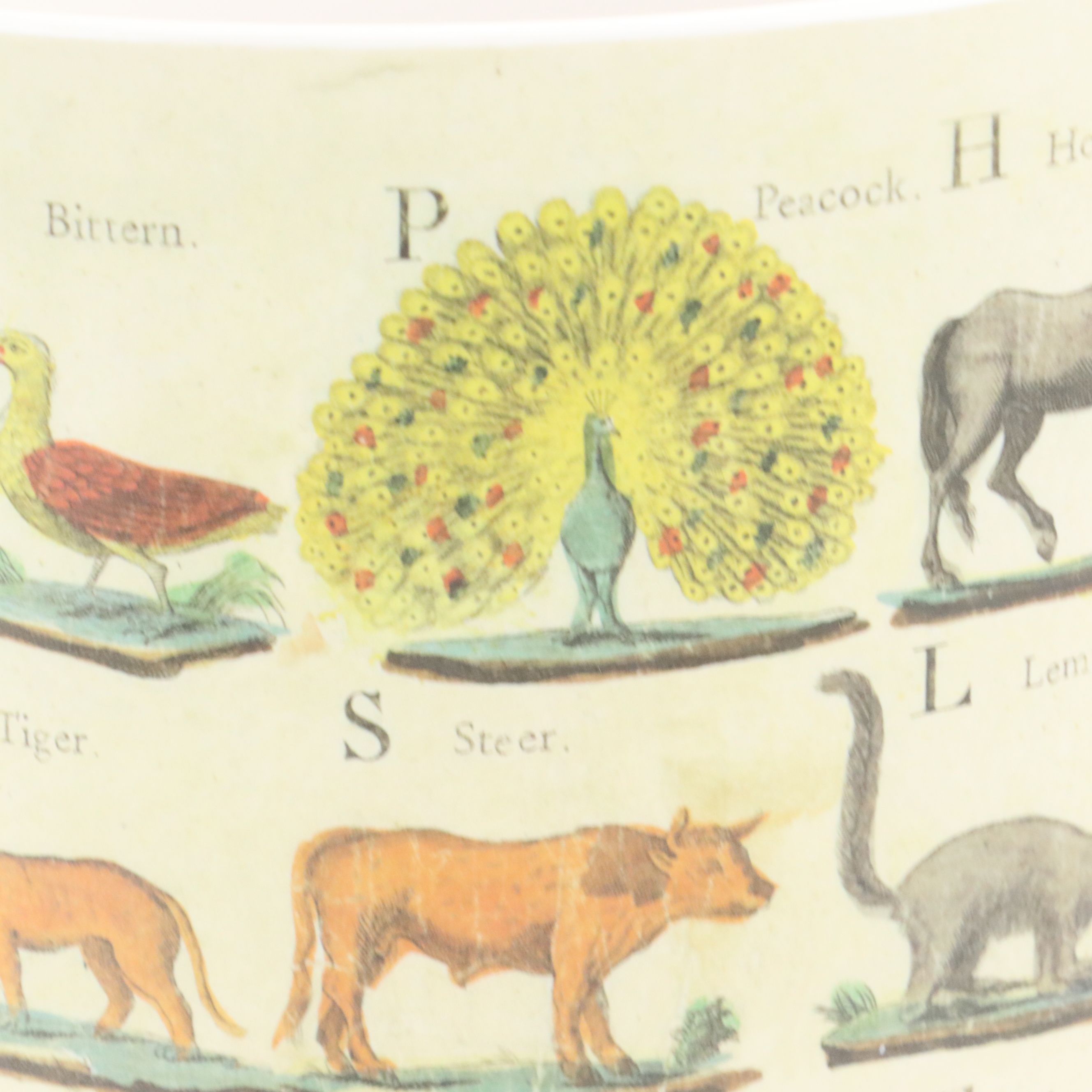 John Derian for Target Melamine Animal Alphabet Print Waste Basket