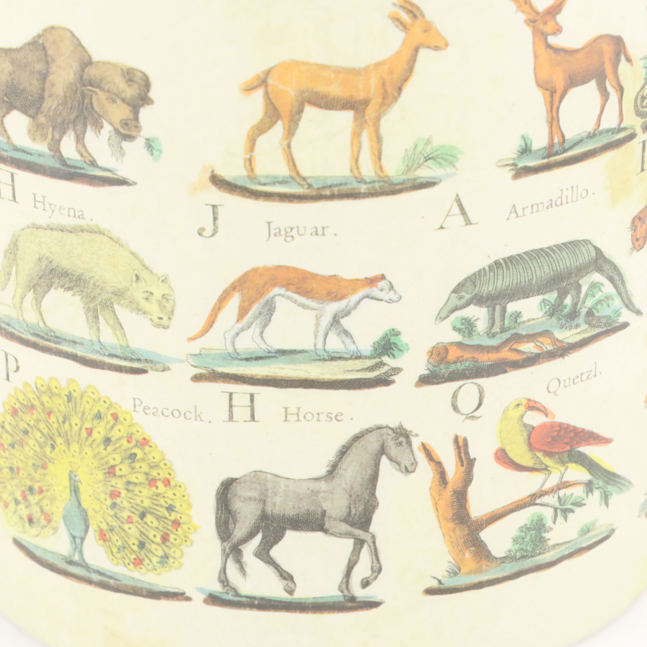 John Derian for Target Melamine Animal Alphabet Print Waste Basket