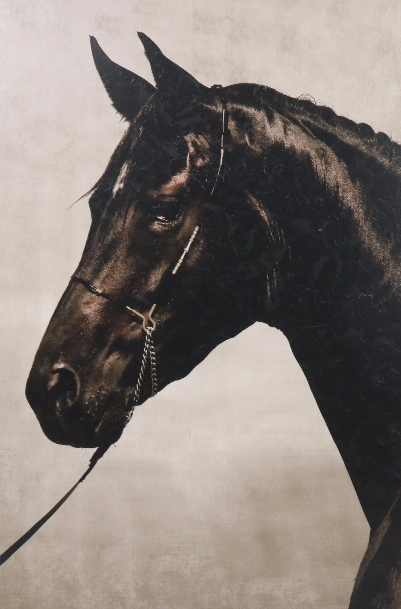 Hand-Embellished Giclée of Horse, 21st Century