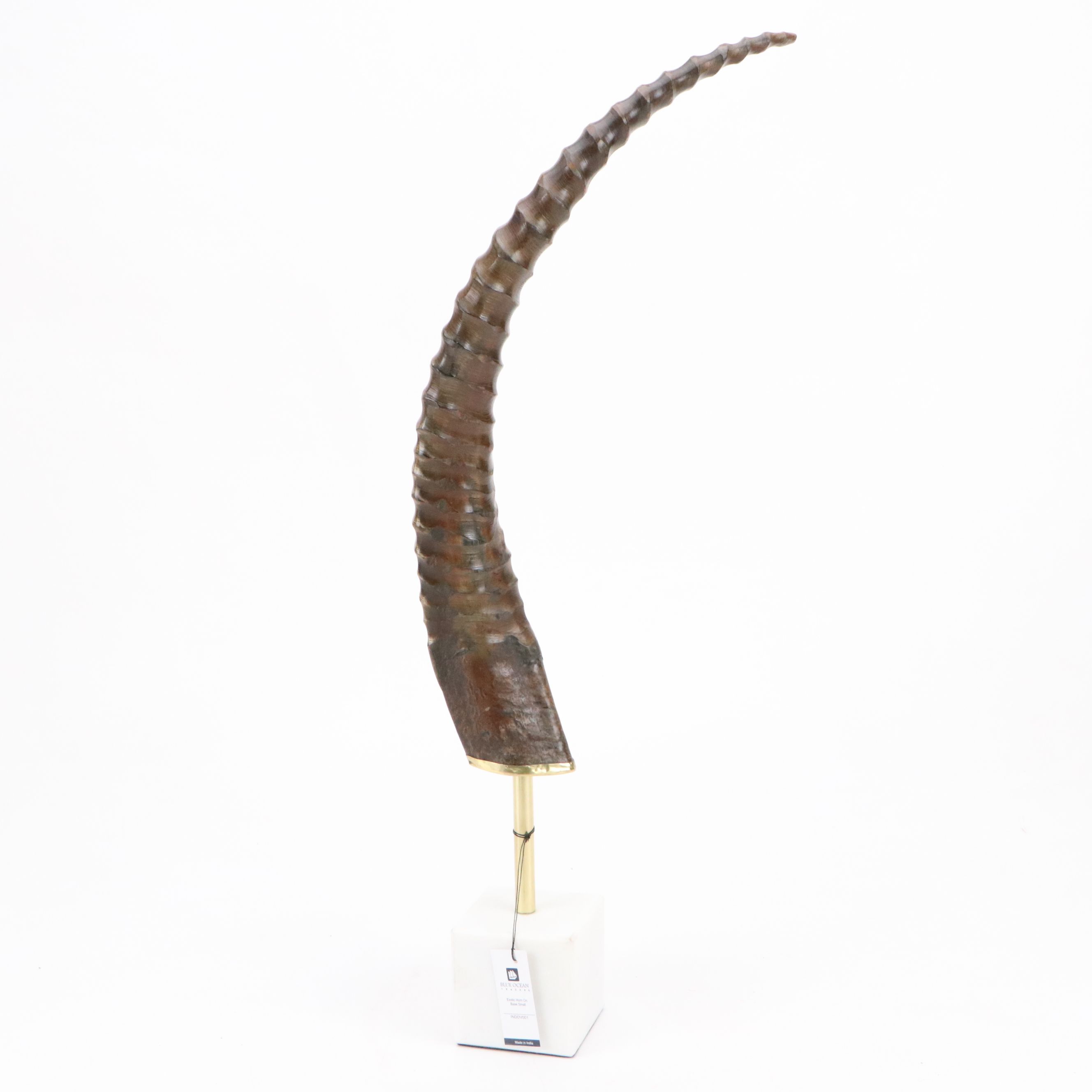 Blue Ocean Chinkara Antelope Horn on Marble Base Pair