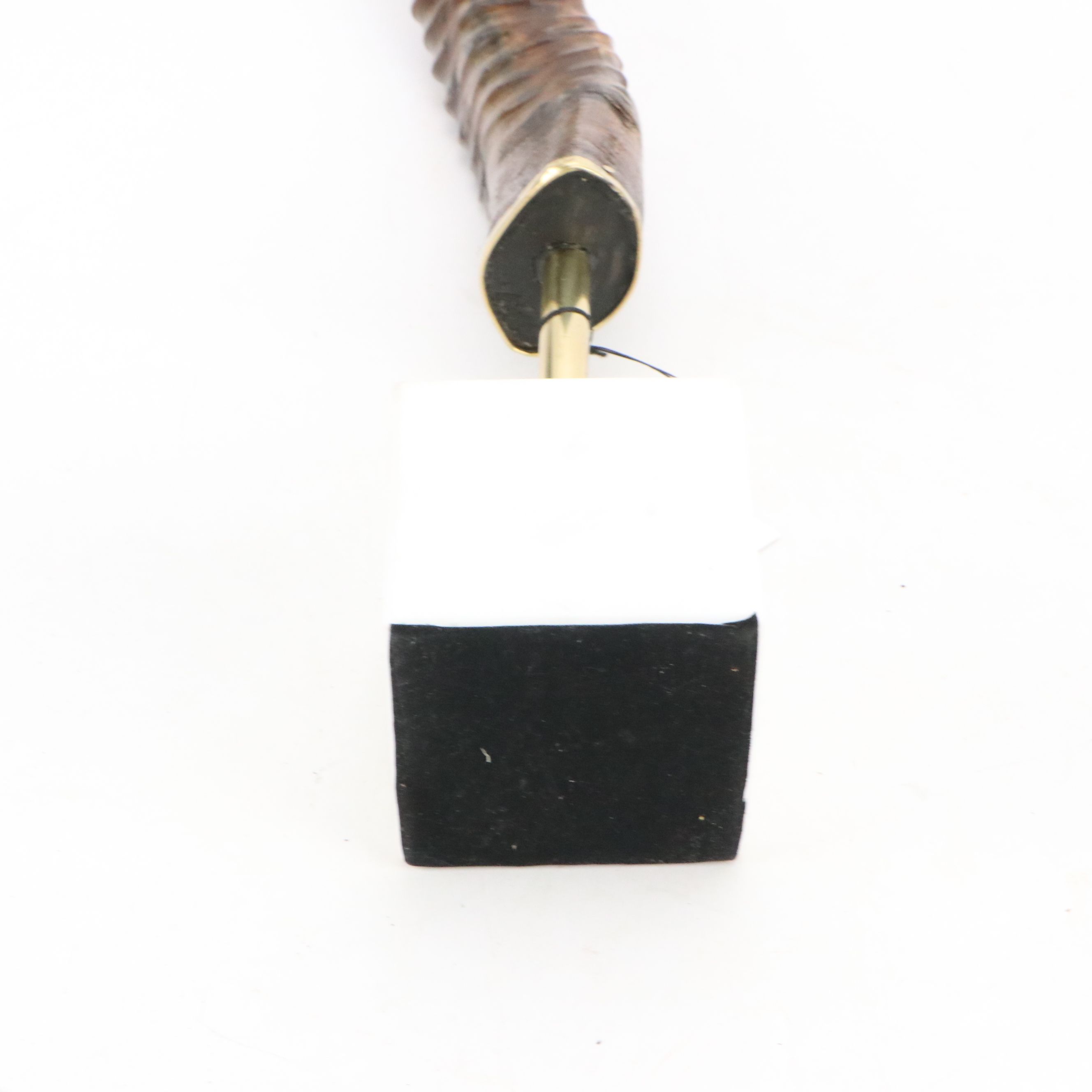 Blue Ocean Chinkara Antelope Horn on Marble Base Pair