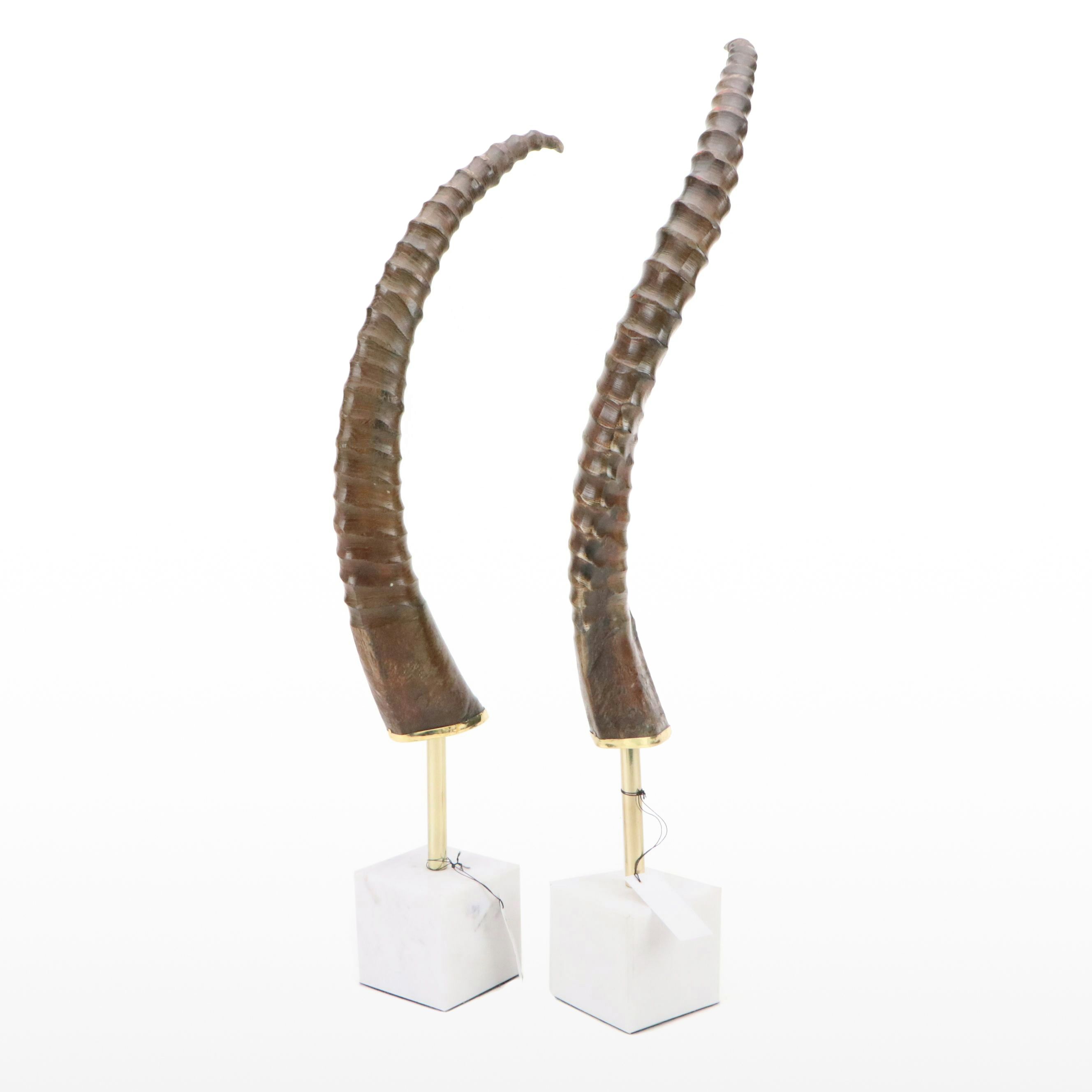 Blue Ocean Chinkara Antelope Horn on Marble Base Pair