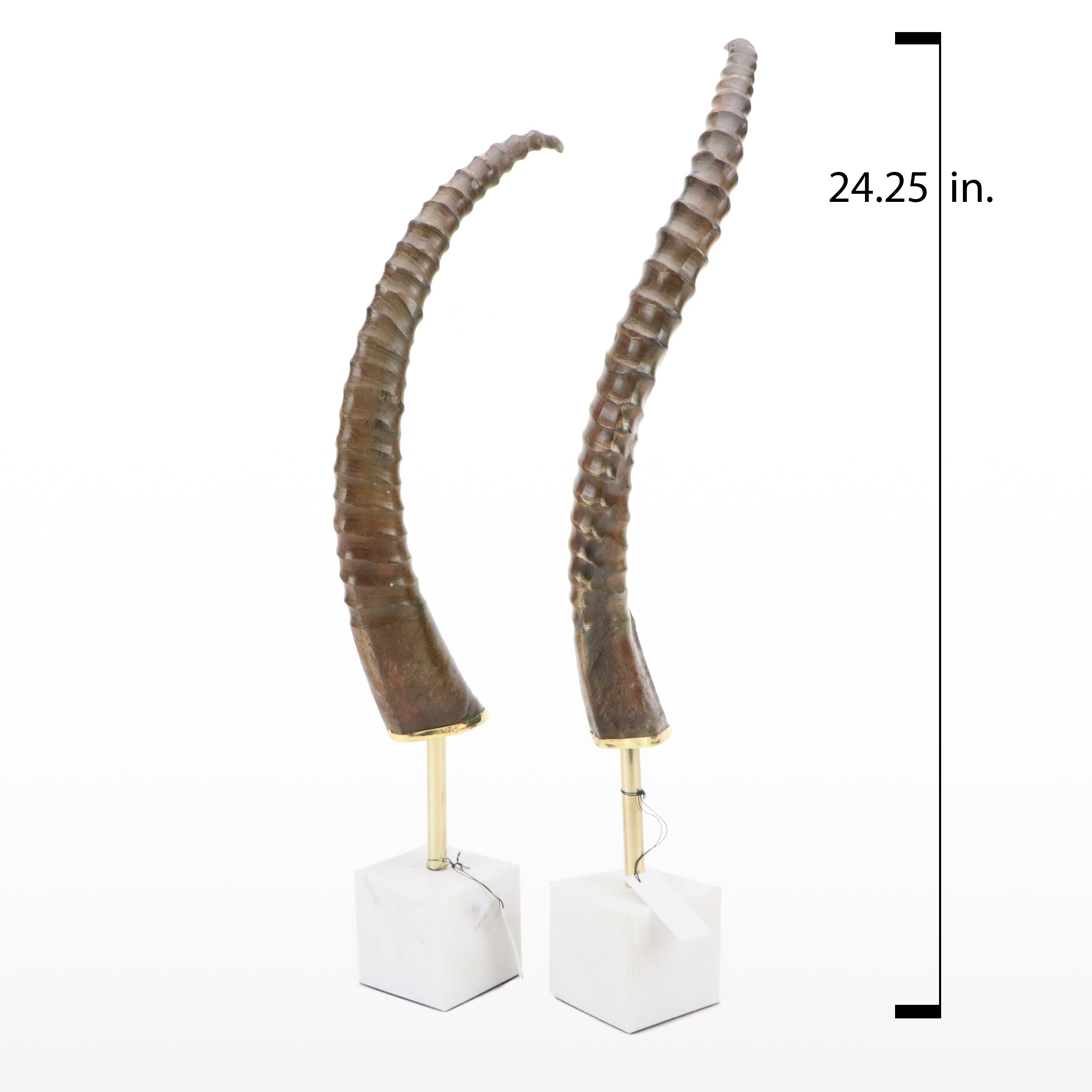 Blue Ocean Chinkara Antelope Horn on Marble Base Pair