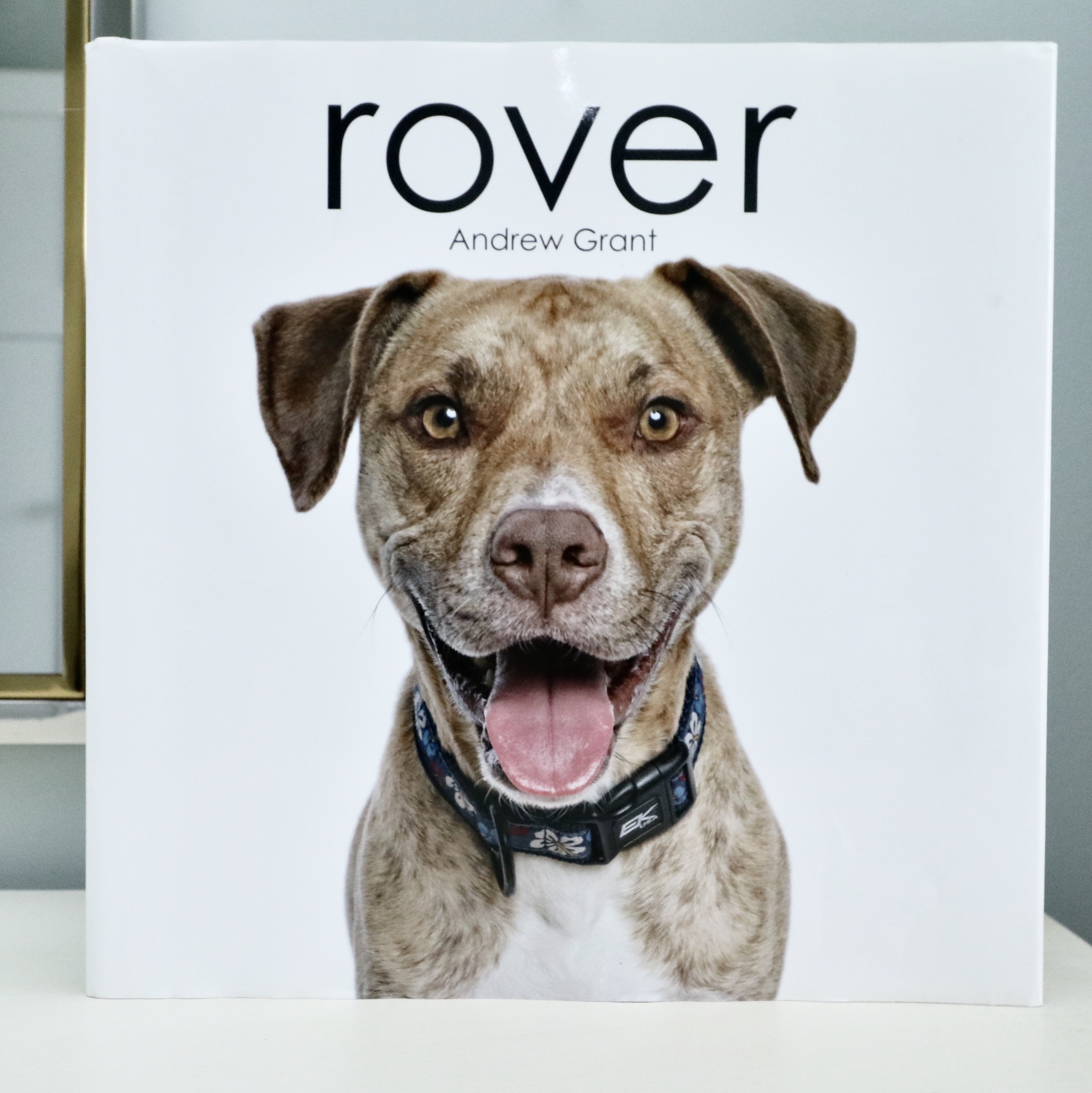 Uttermost Chrome "Locke" Vanity Wall Mirror, "Rover" Book and Other Accessories