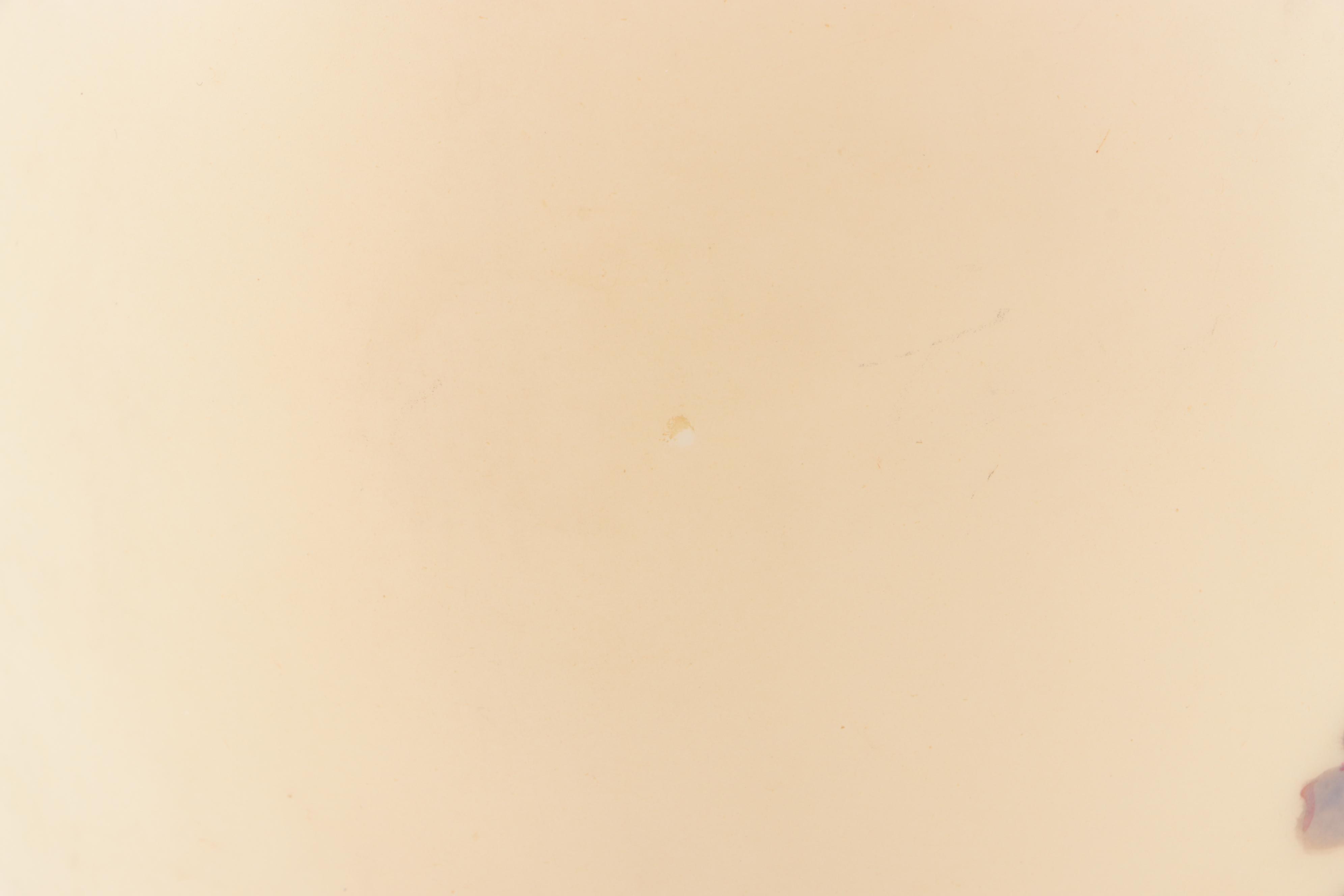 Hand-Painted Floral Glass Vase