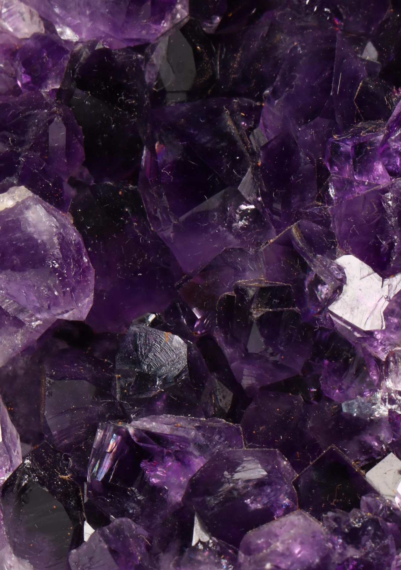 Amethyst Specimens on Modern Metal Stands