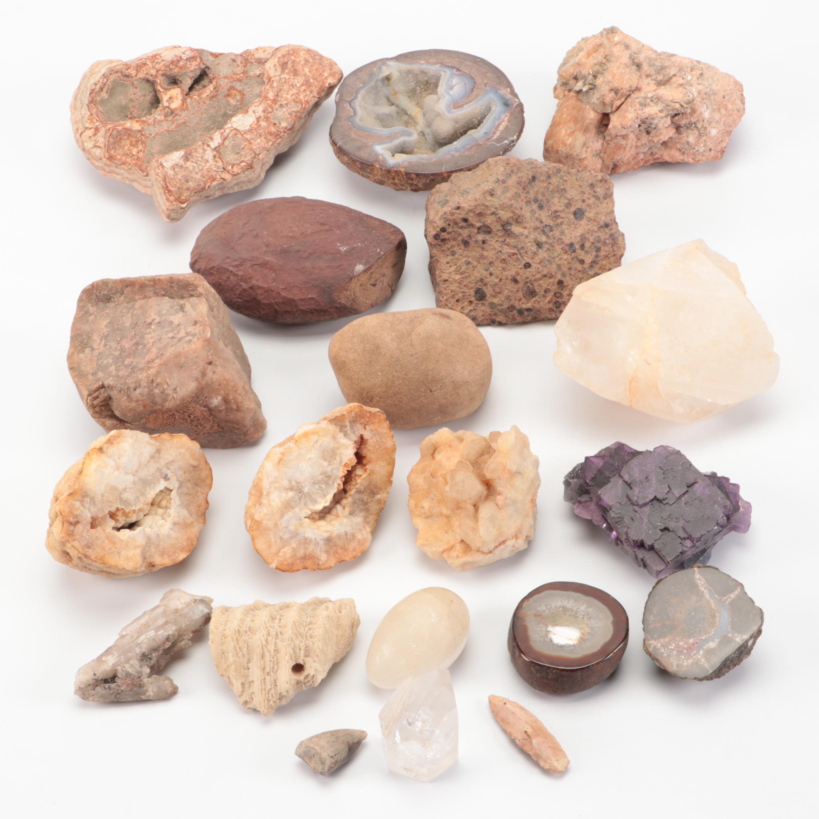 Fossil Horn Coral, with Quartz, Geodes, Agate and More