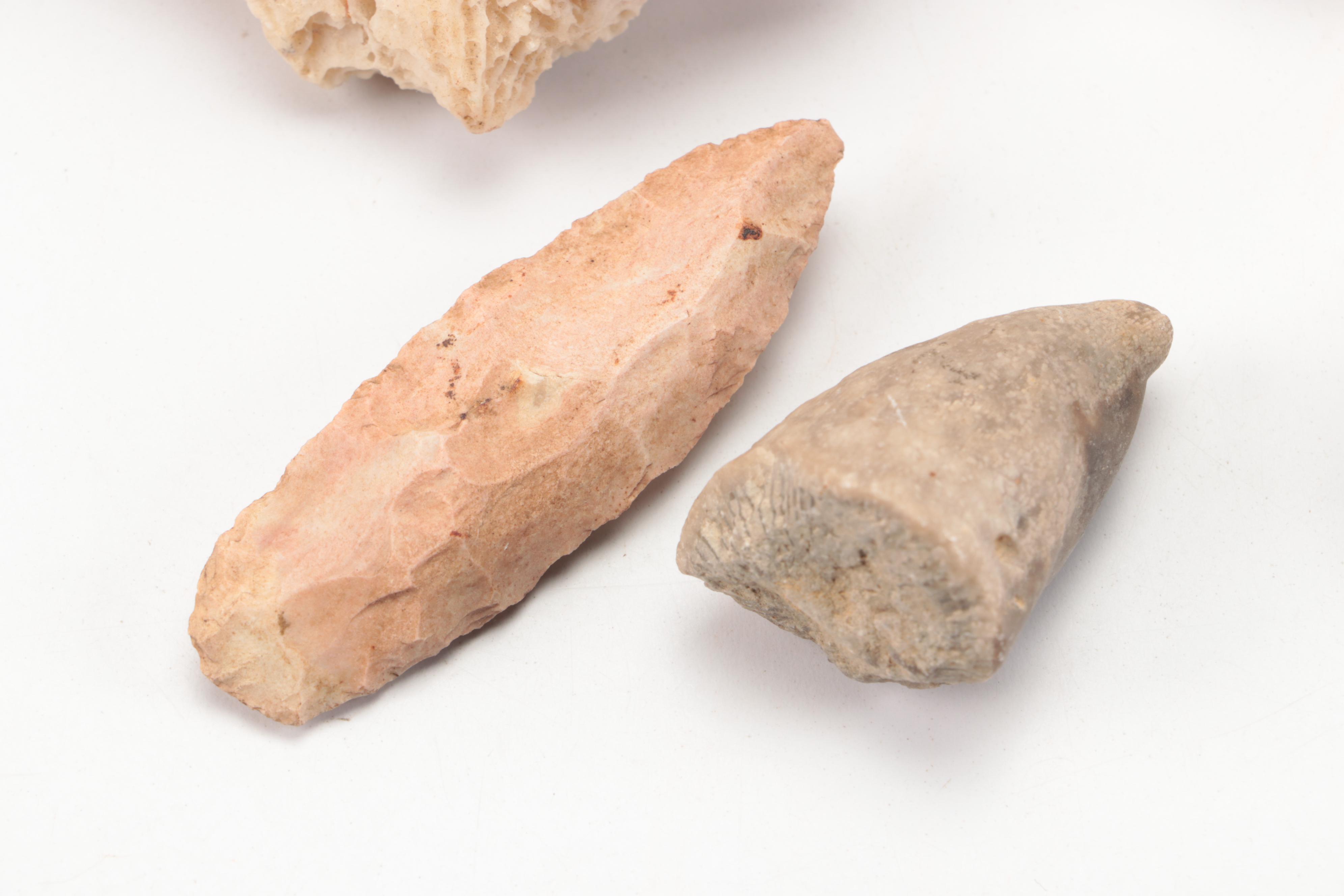 Fossil Horn Coral, with Quartz, Geodes, Agate and More