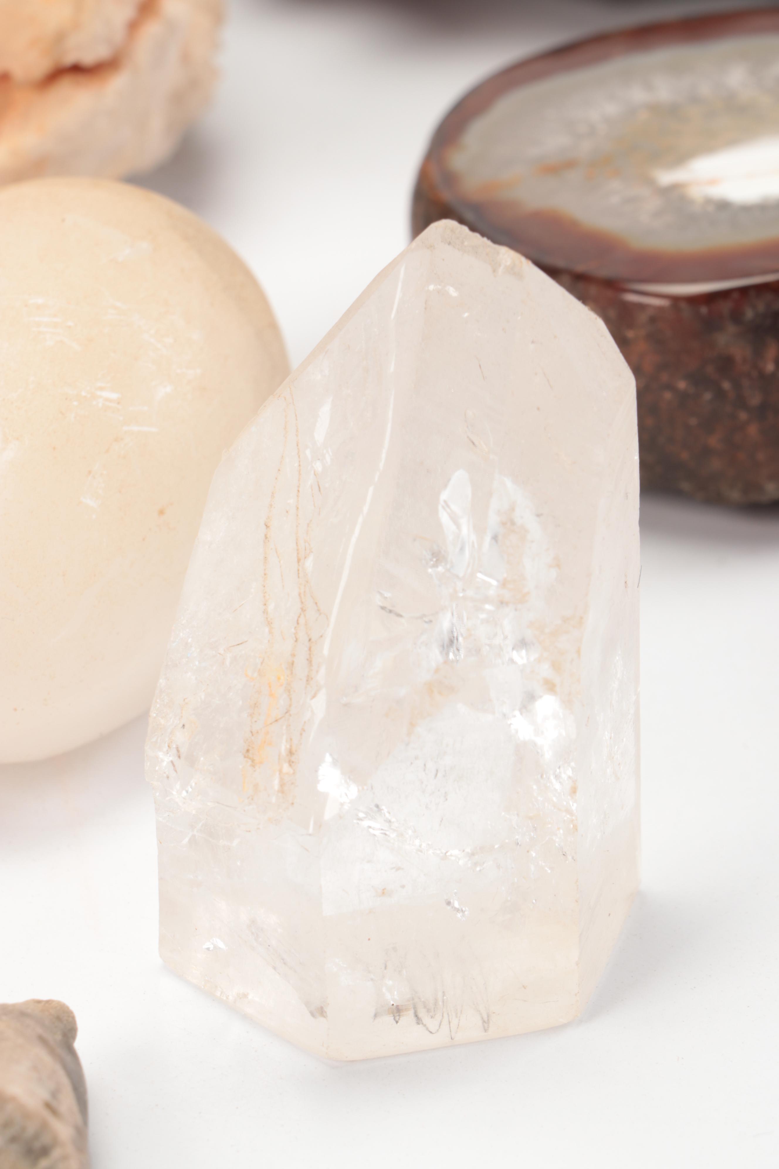 Fossil Horn Coral, with Quartz, Geodes, Agate and More