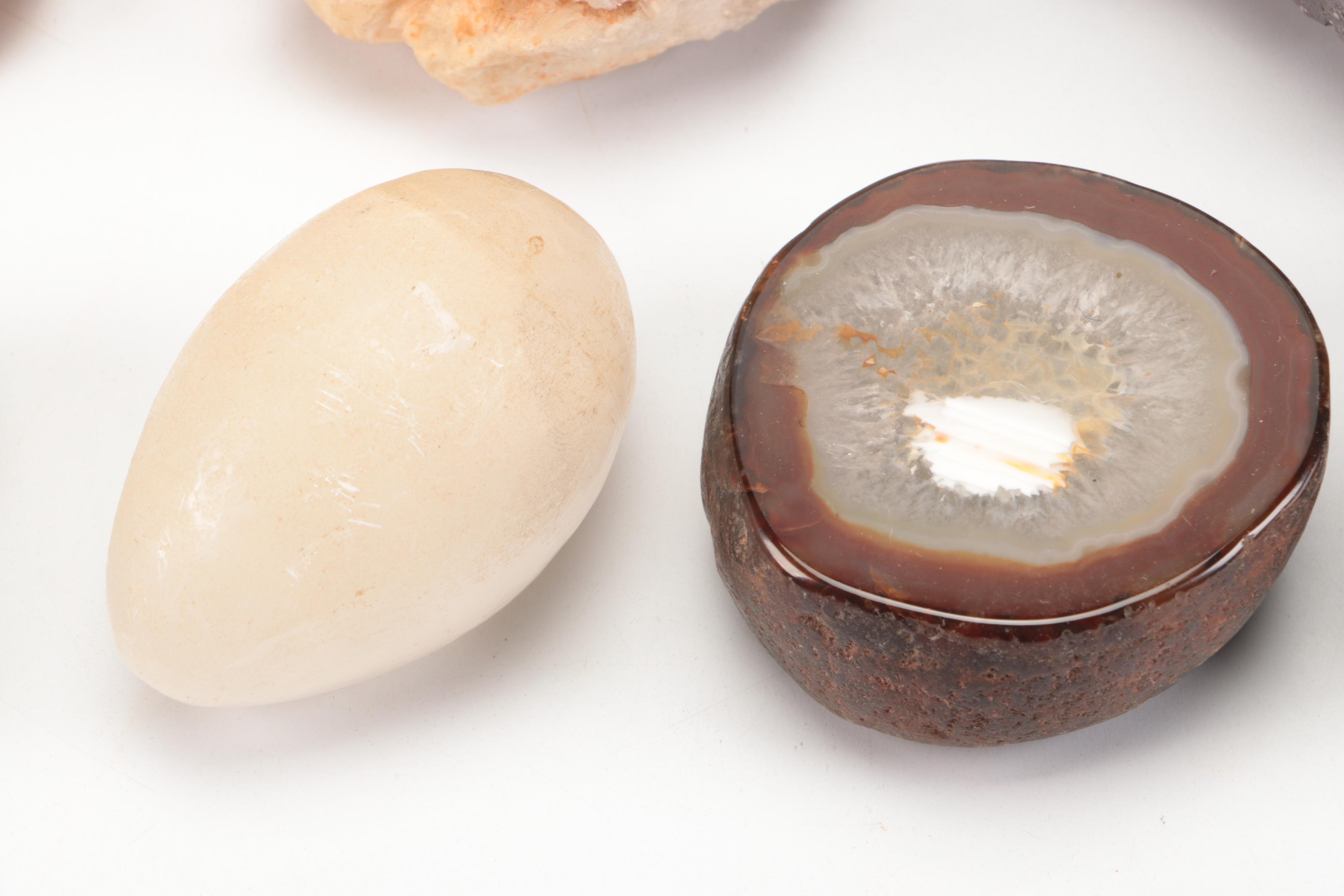 Fossil Horn Coral, with Quartz, Geodes, Agate and More