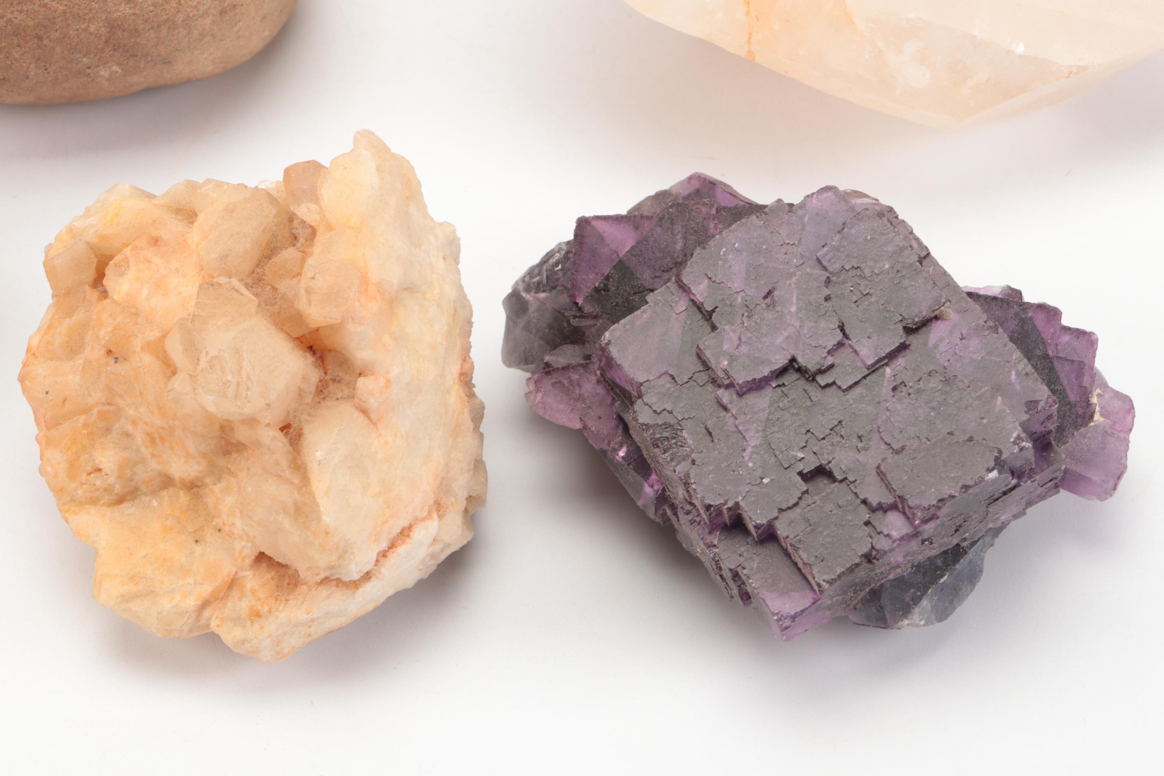 Fossil Horn Coral, with Quartz, Geodes, Agate and More