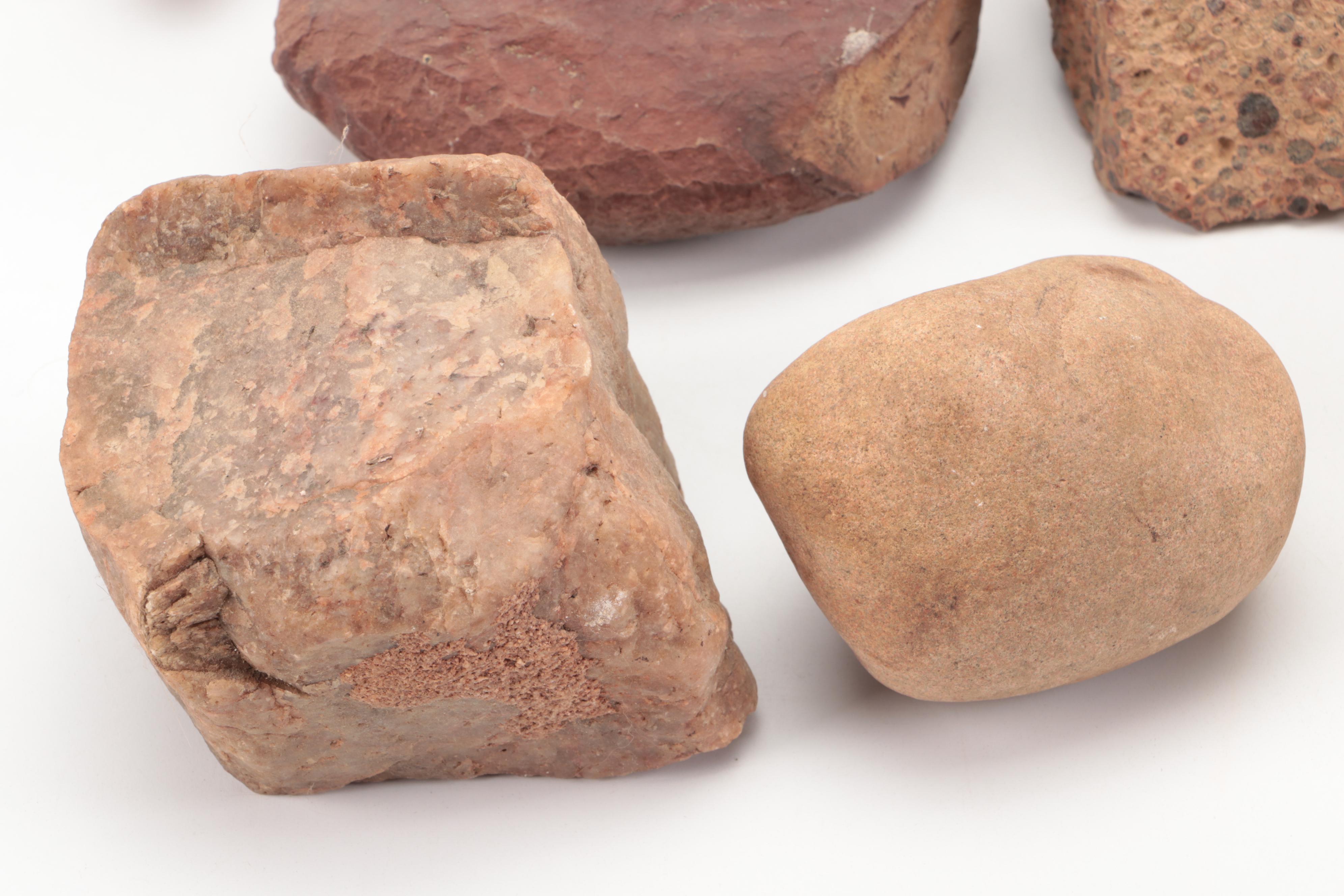 Fossil Horn Coral, with Quartz, Geodes, Agate and More