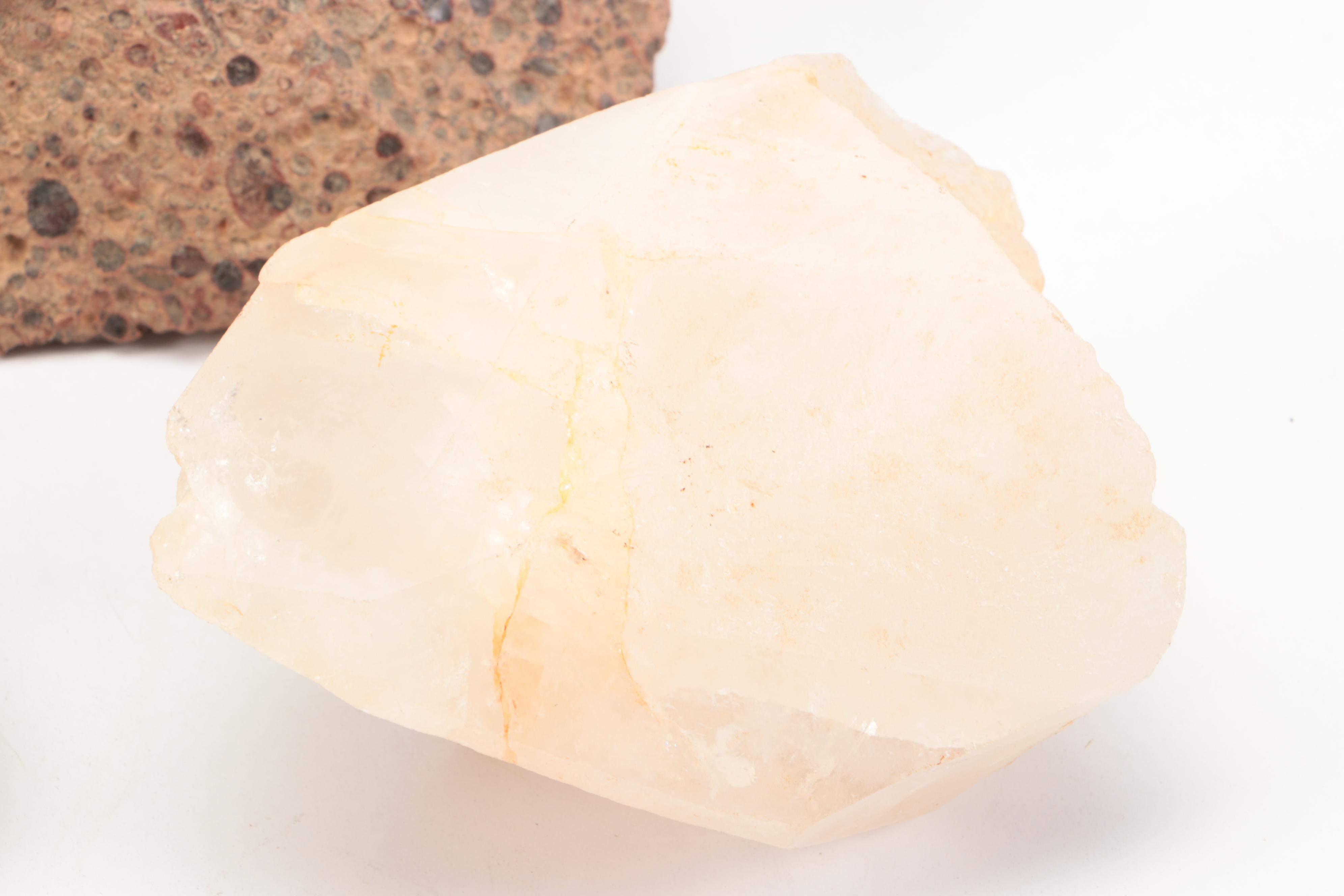 Fossil Horn Coral, with Quartz, Geodes, Agate and More