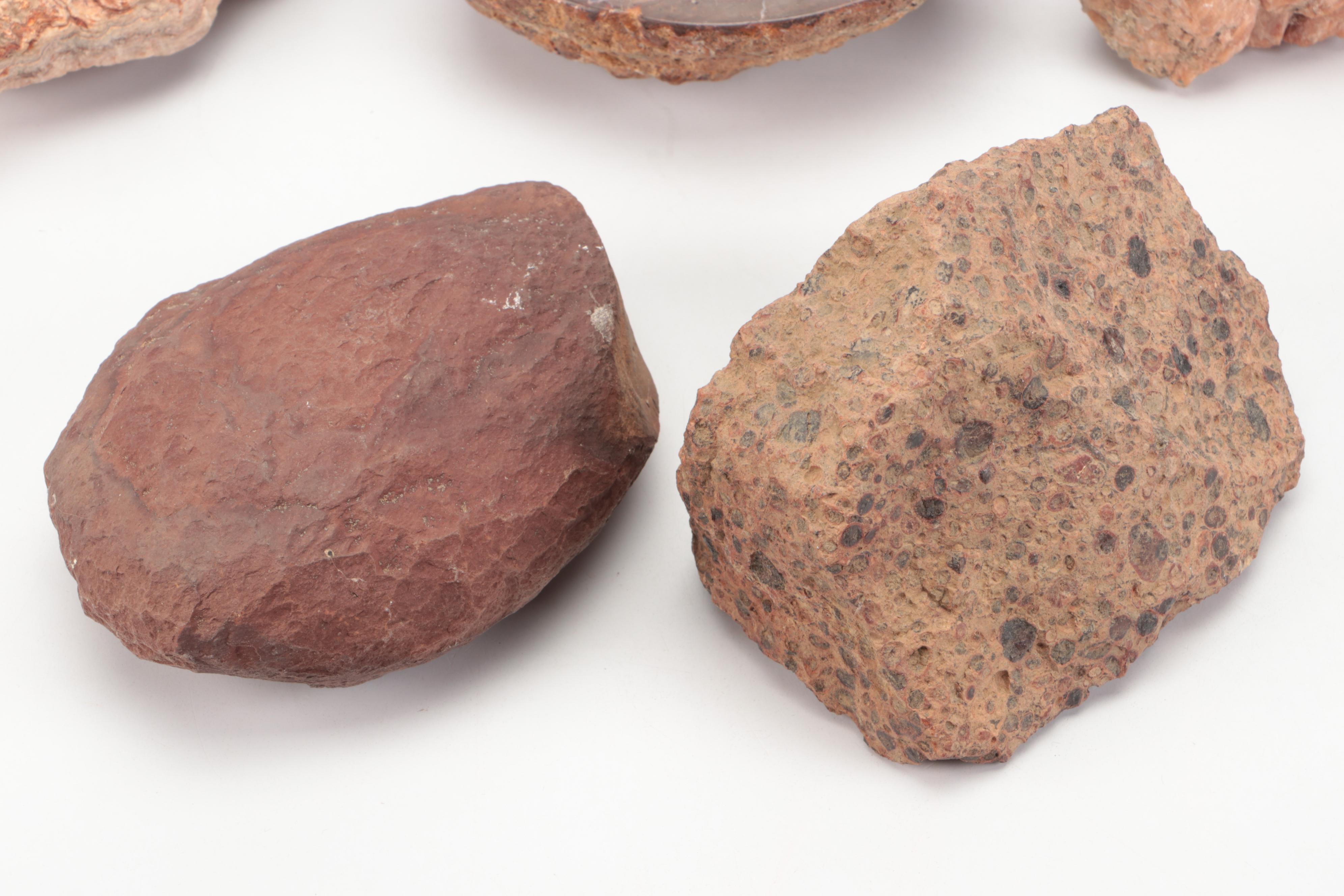 Fossil Horn Coral, with Quartz, Geodes, Agate and More