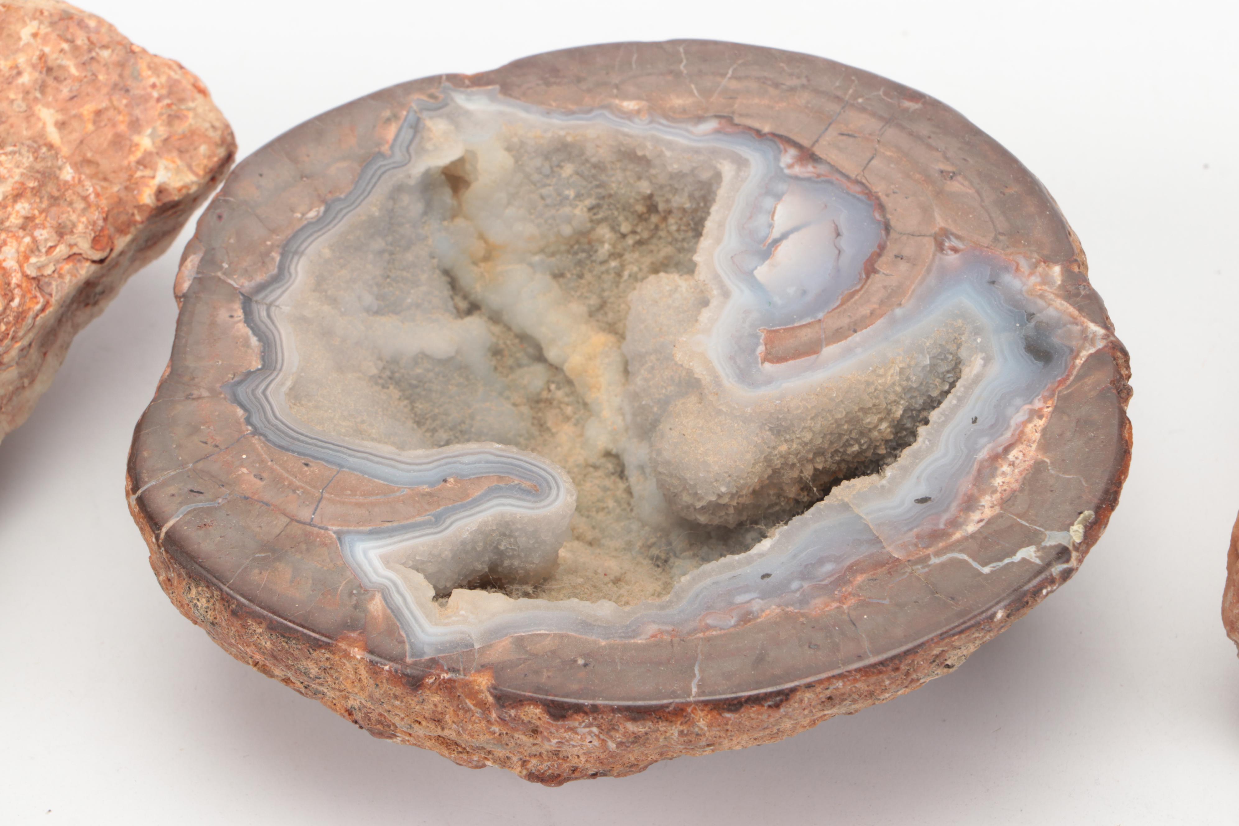 Fossil Horn Coral, with Quartz, Geodes, Agate and More