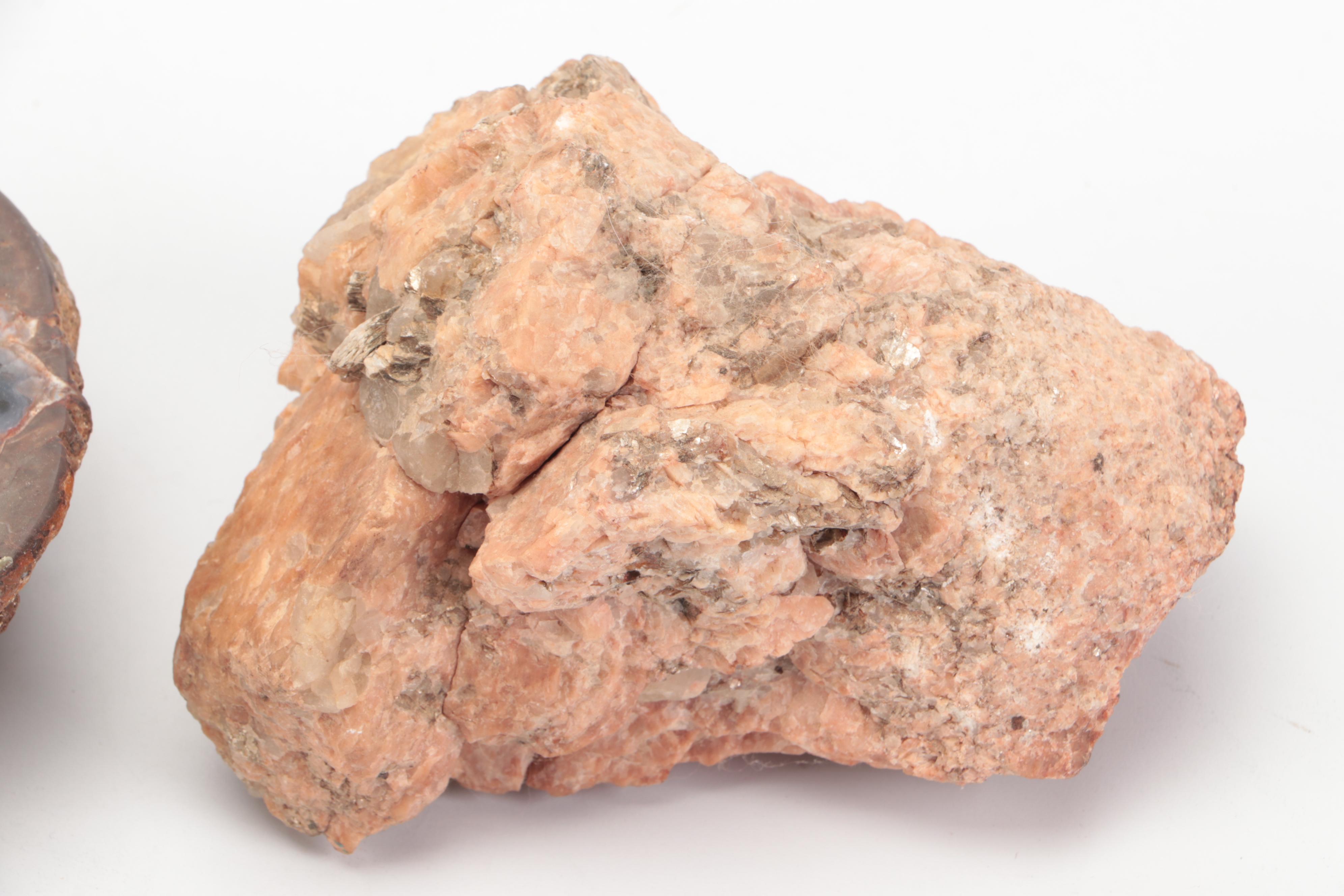 Fossil Horn Coral, with Quartz, Geodes, Agate and More