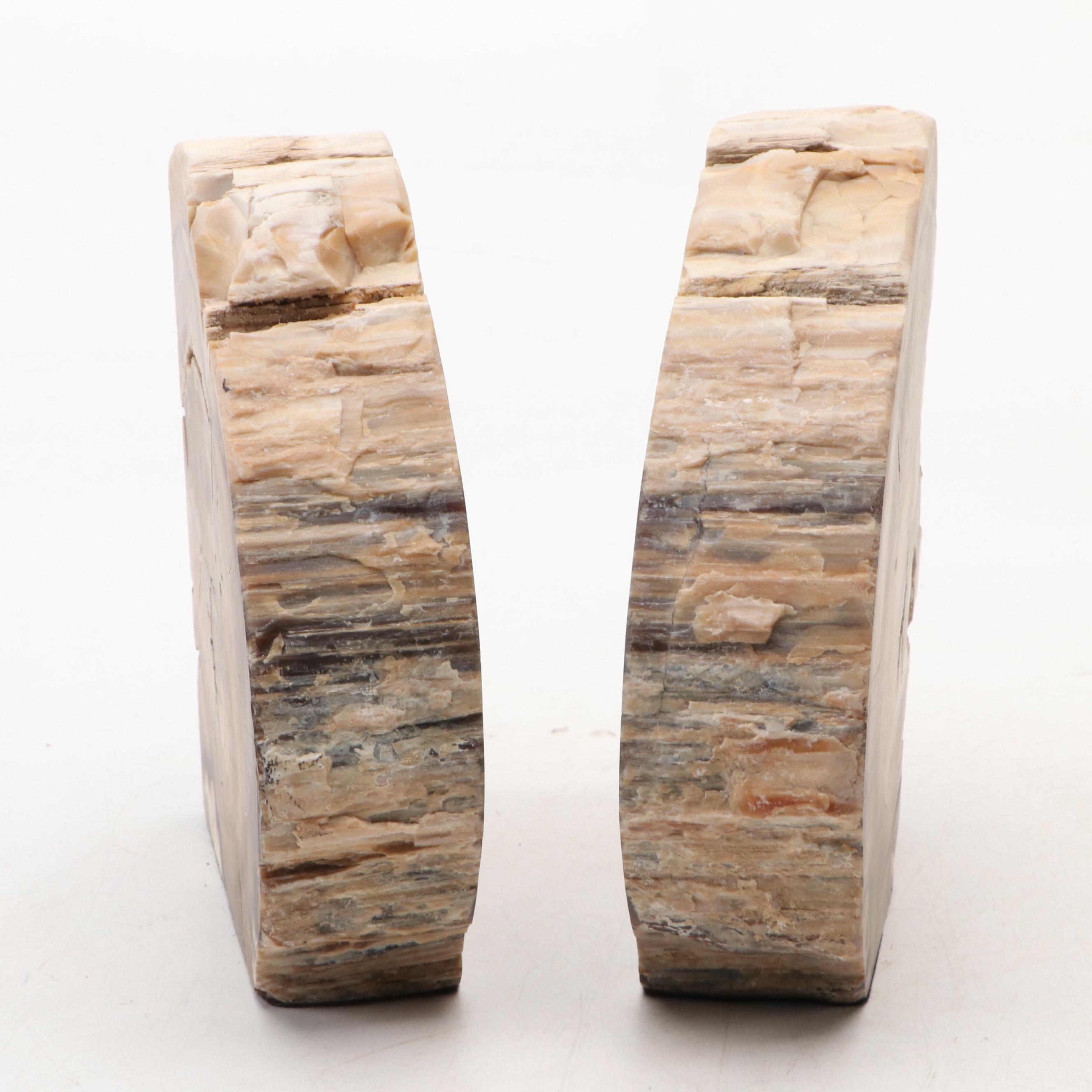 Petrified Wood Bookends