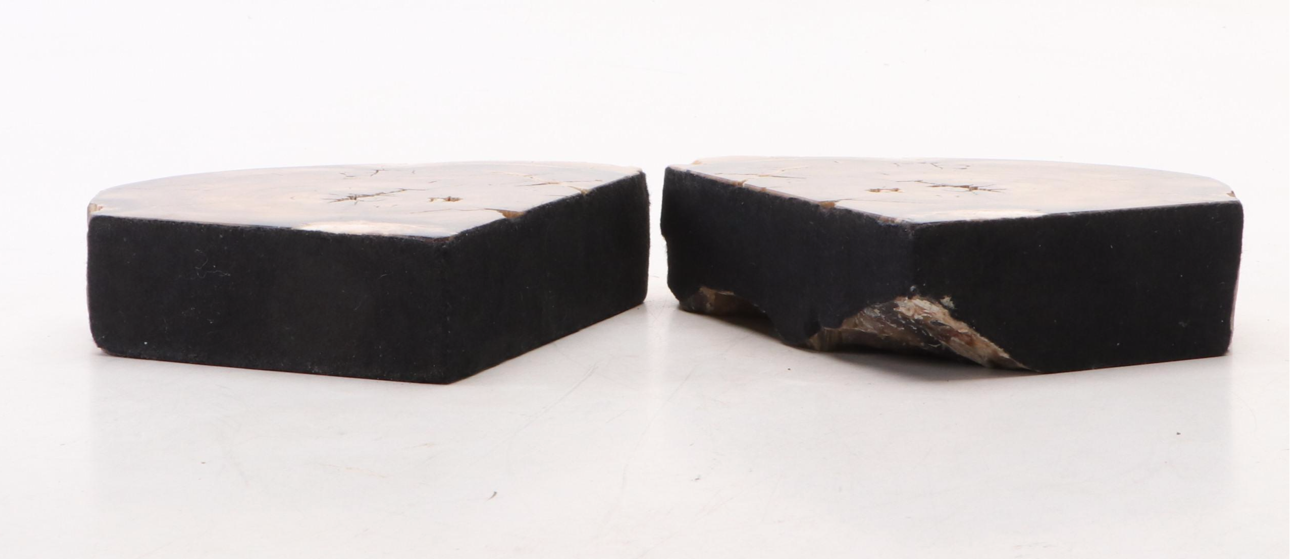 Petrified Wood Bookends