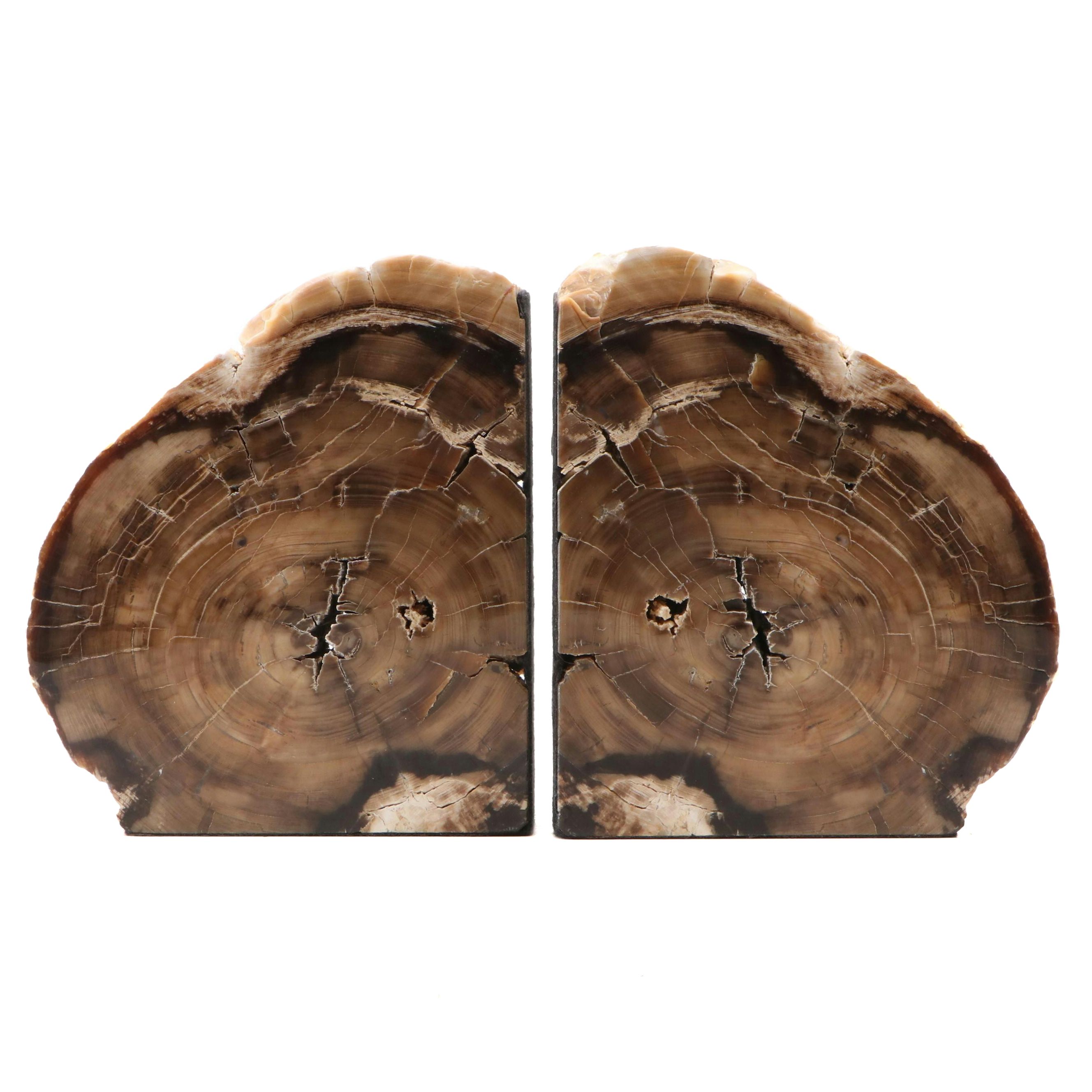 Petrified Wood Bookends