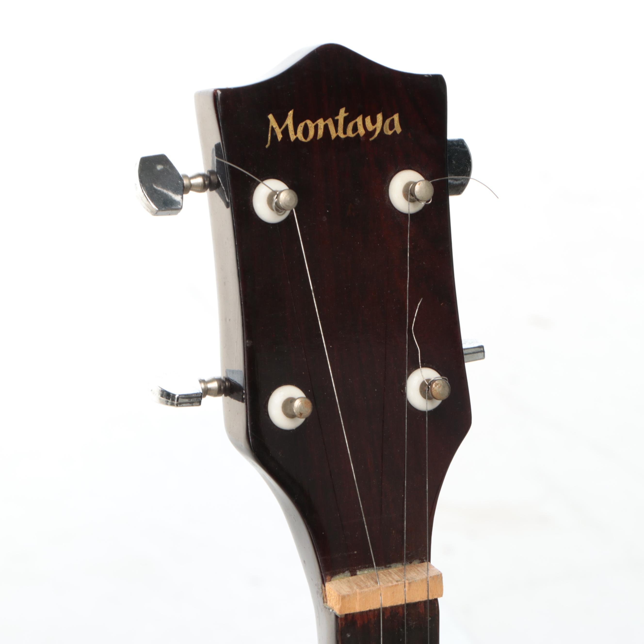 Montaya Rosewood Five-String Banjo with Tolex Case