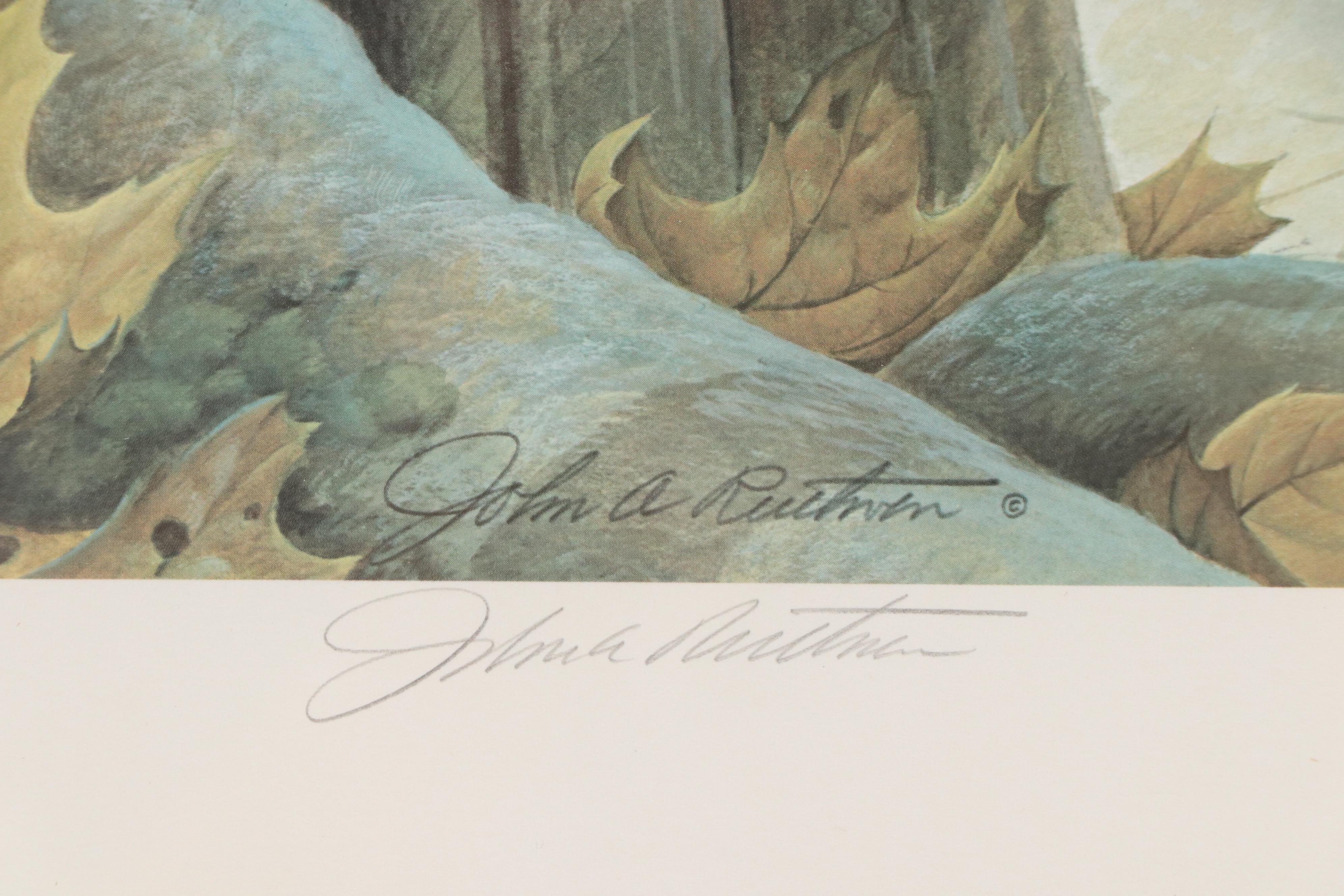 John A. Ruthven Offset Lithograph "Gray Fox," Late 20th Century