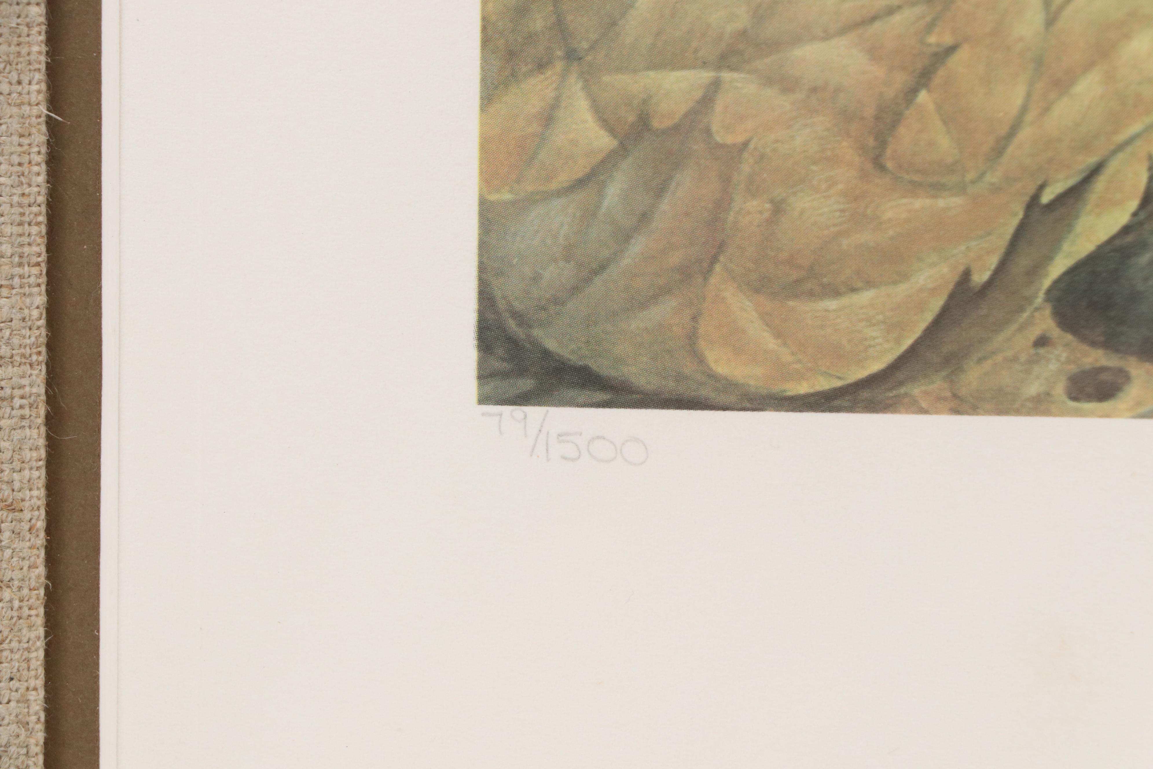 John A. Ruthven Offset Lithograph "Gray Fox," Late 20th Century