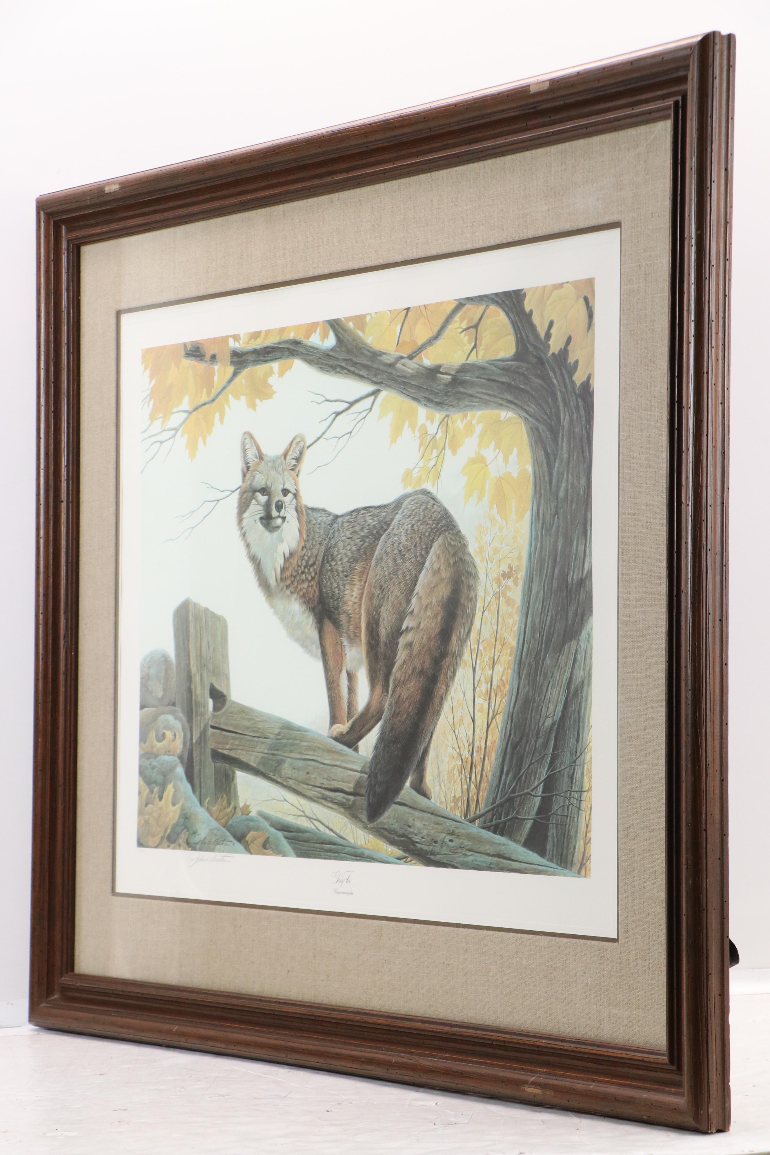 John A. Ruthven Offset Lithograph "Gray Fox," Late 20th Century