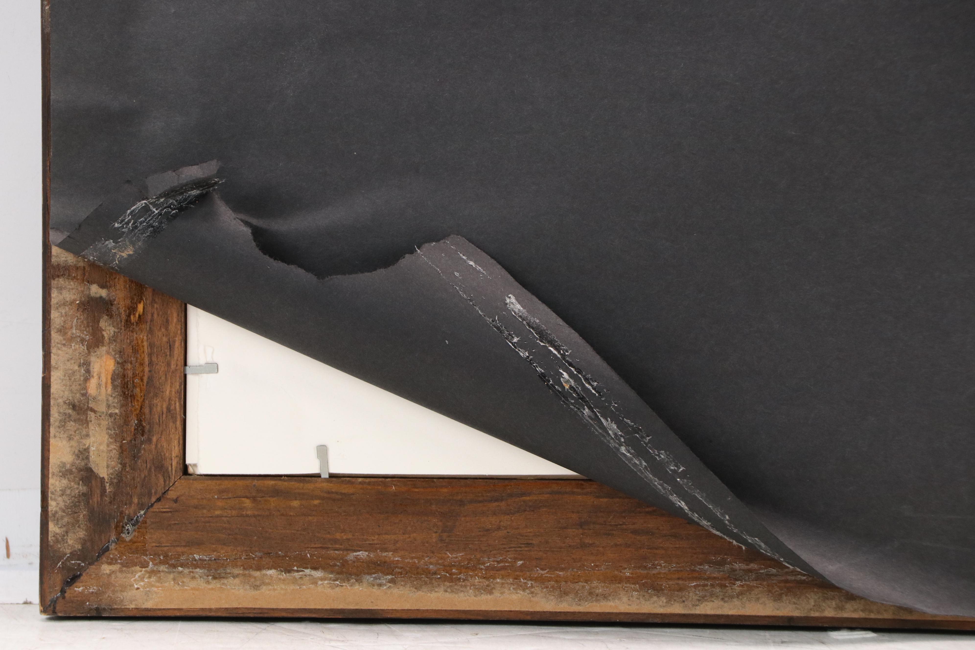 John A. Ruthven Offset Lithograph "Gray Fox," Late 20th Century