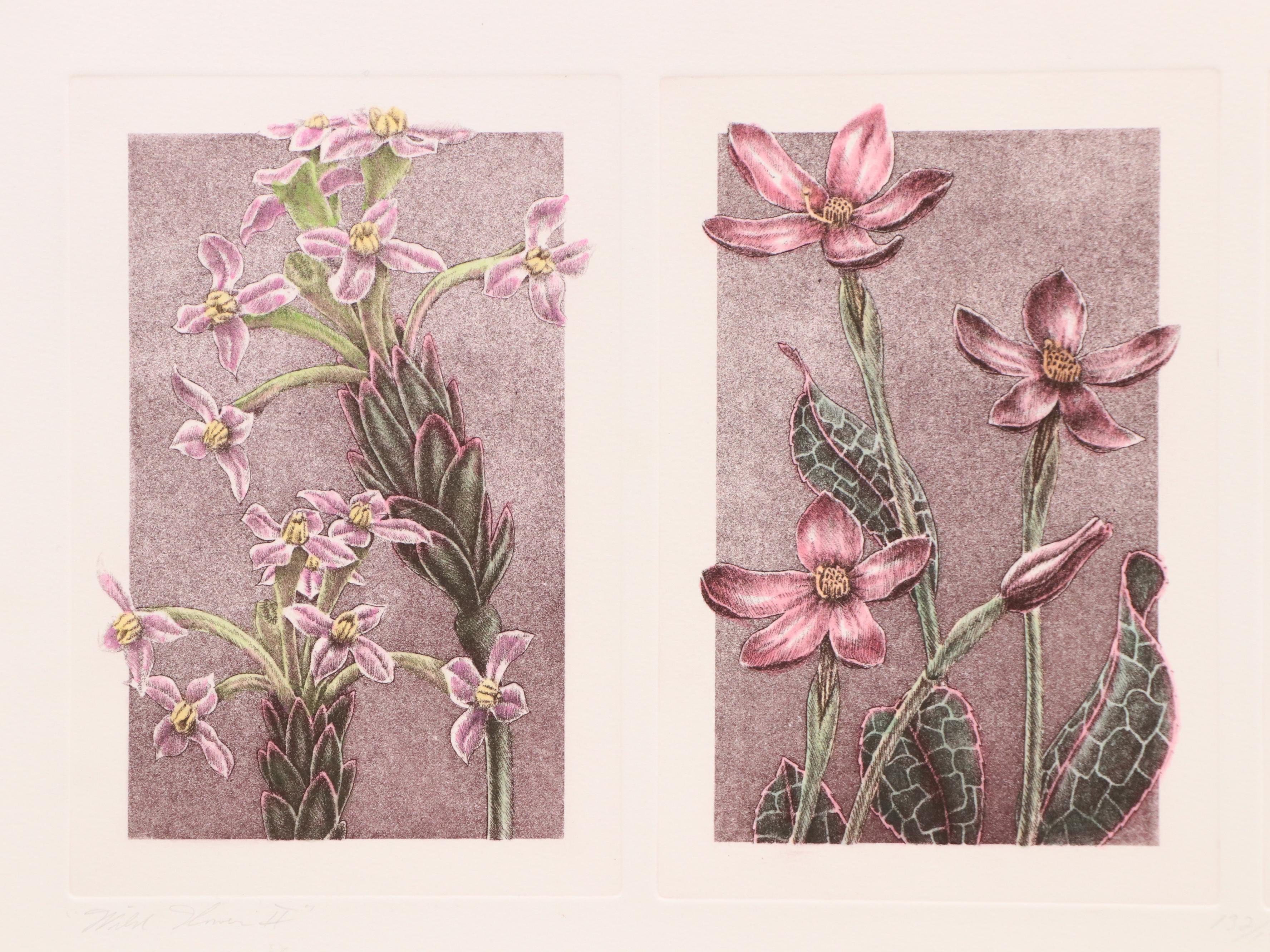 Botanical Etching Quadtych "Wild Flowers II"