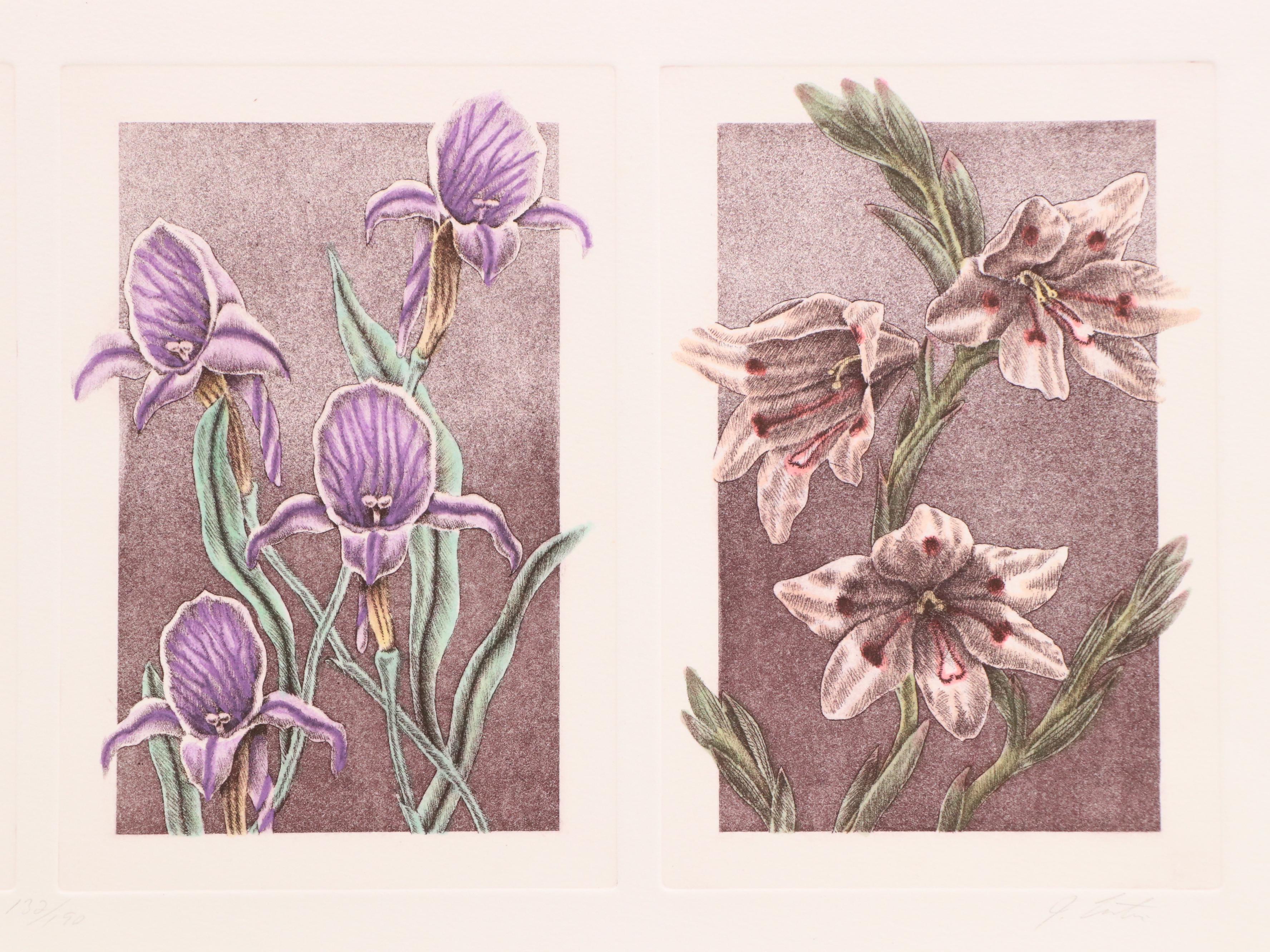 Botanical Etching Quadtych "Wild Flowers II"