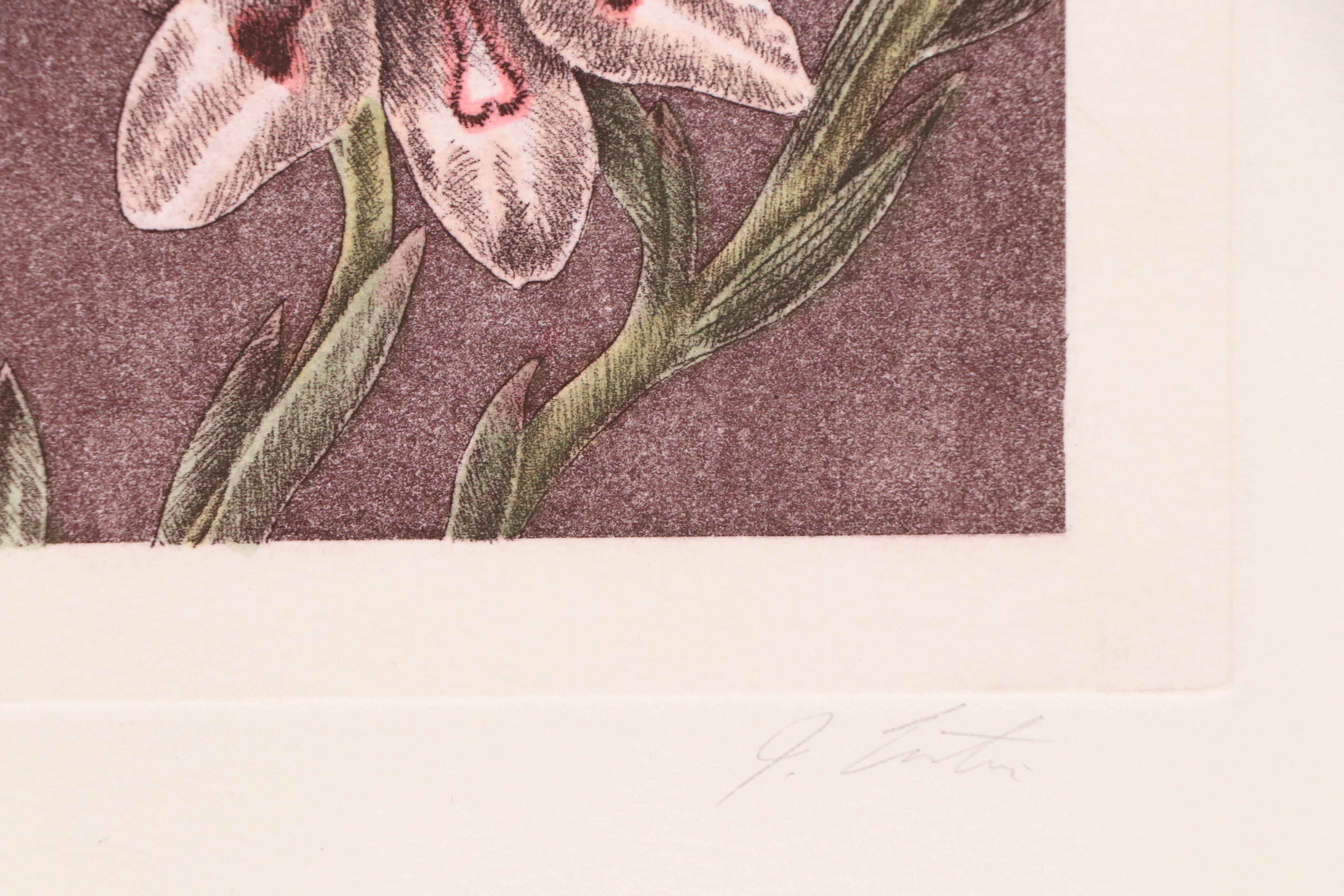 Botanical Etching Quadtych "Wild Flowers II"