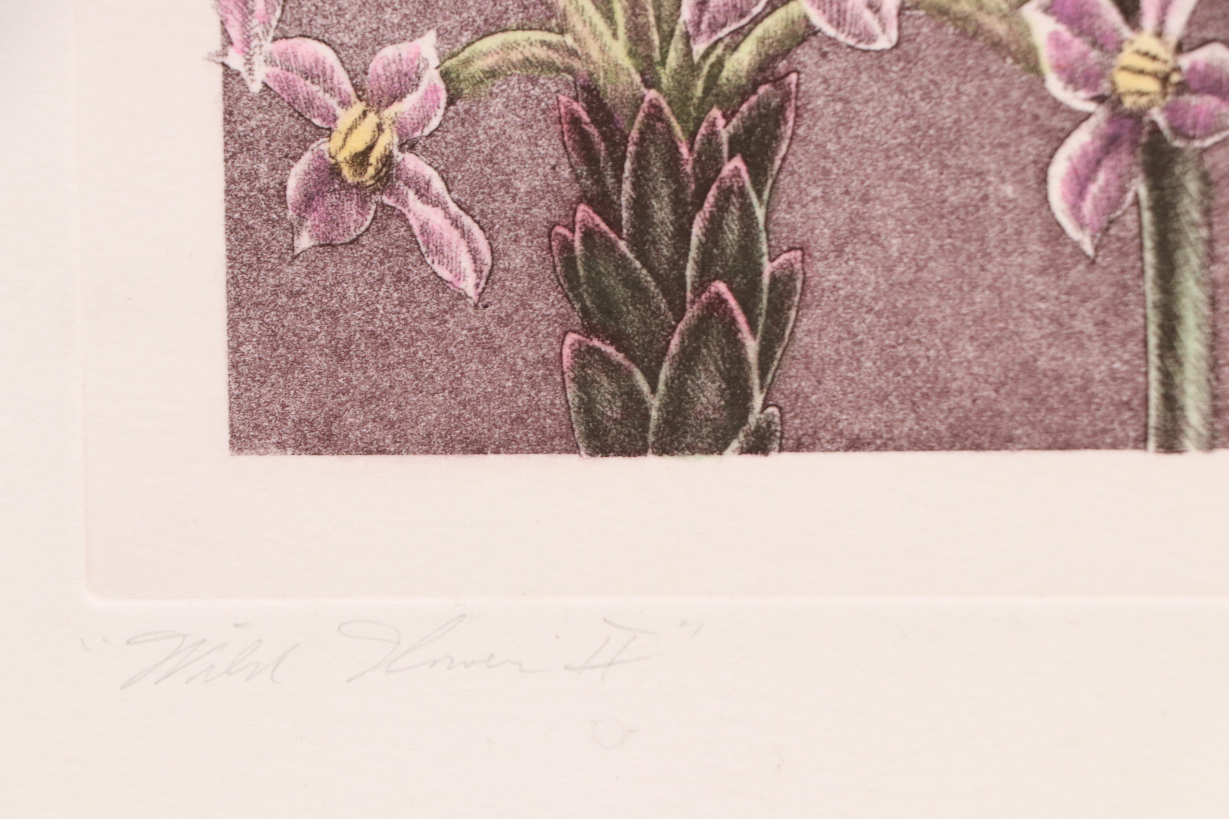 Botanical Etching Quadtych "Wild Flowers II"