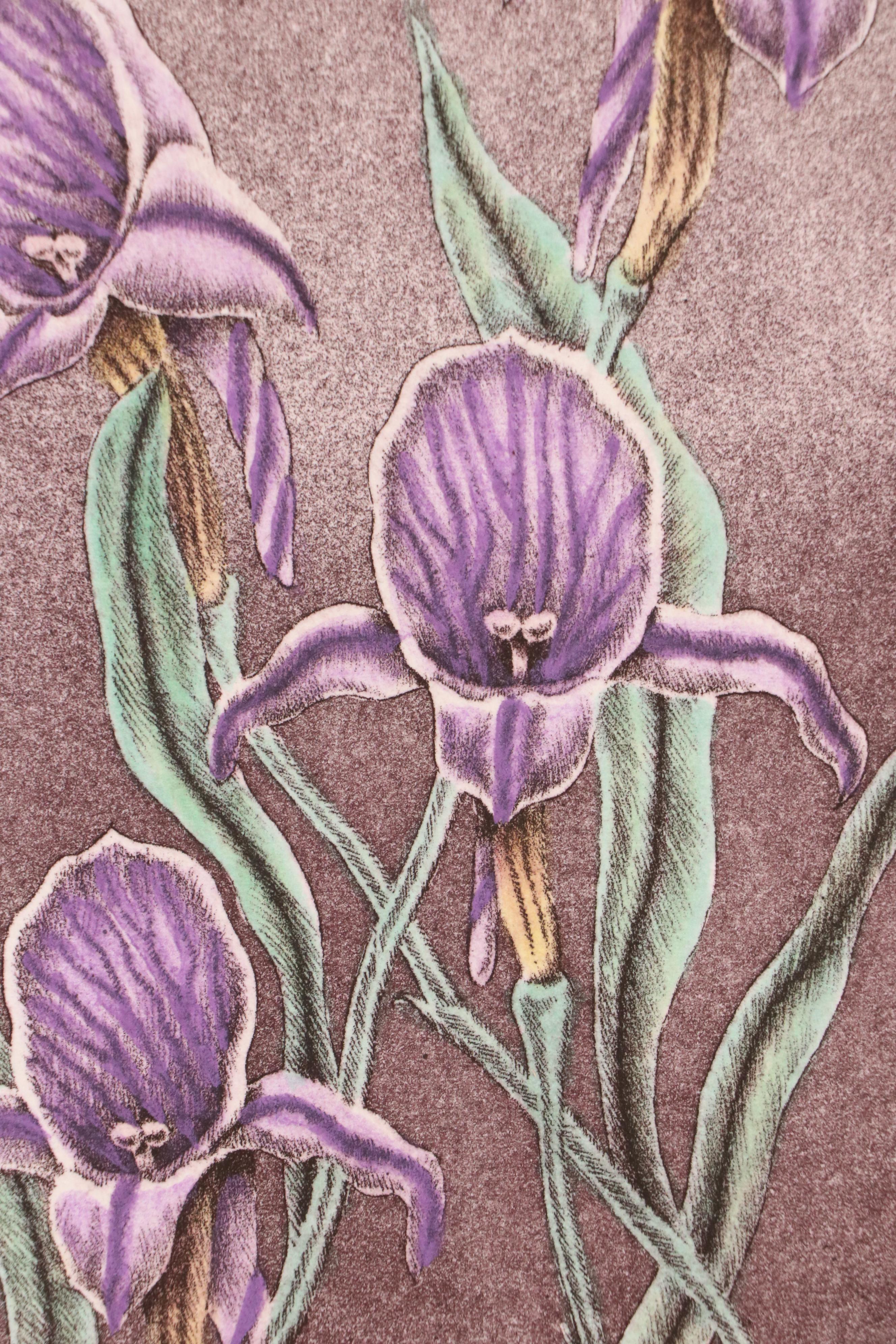 Botanical Etching Quadtych "Wild Flowers II"