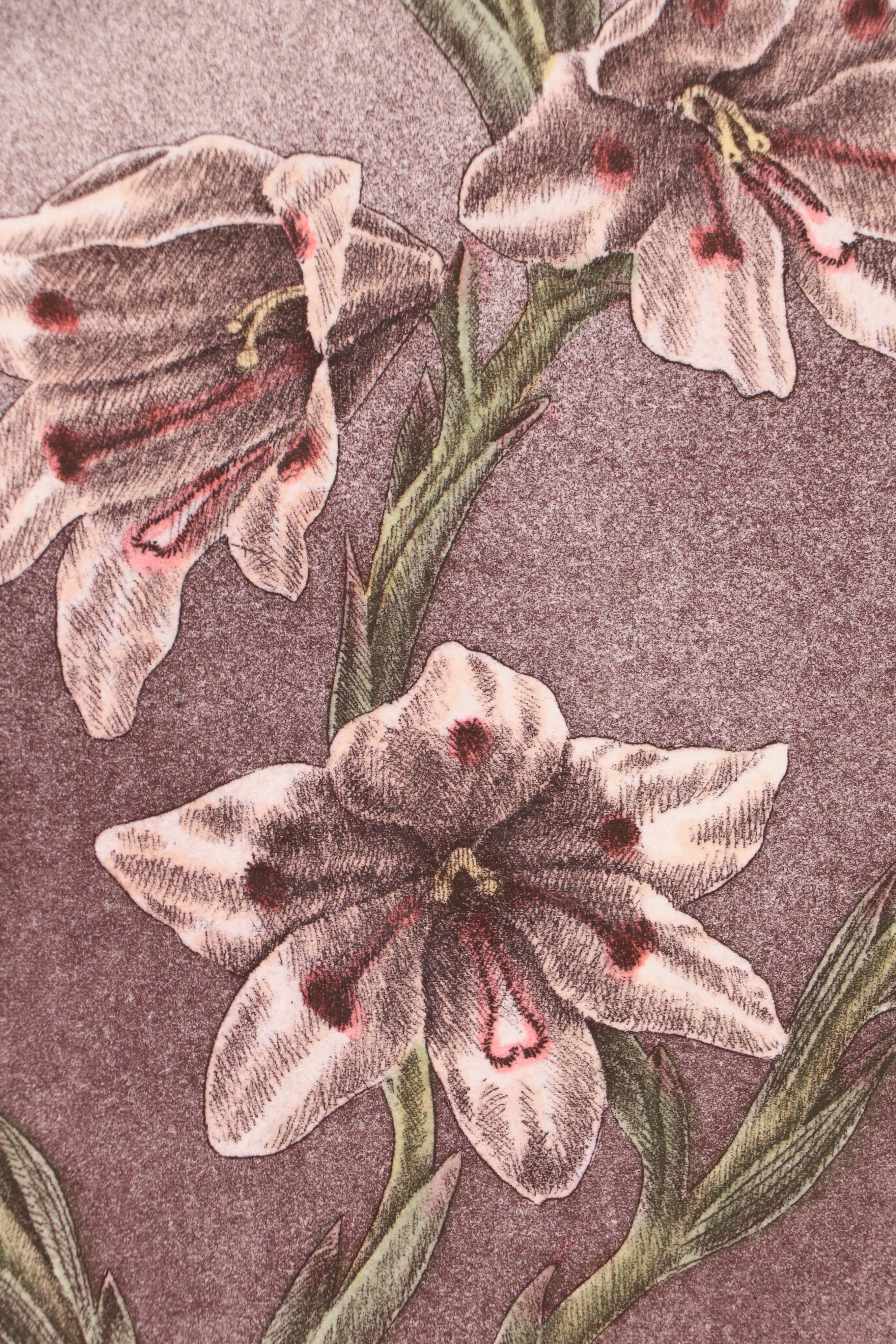 Botanical Etching Quadtych "Wild Flowers II"