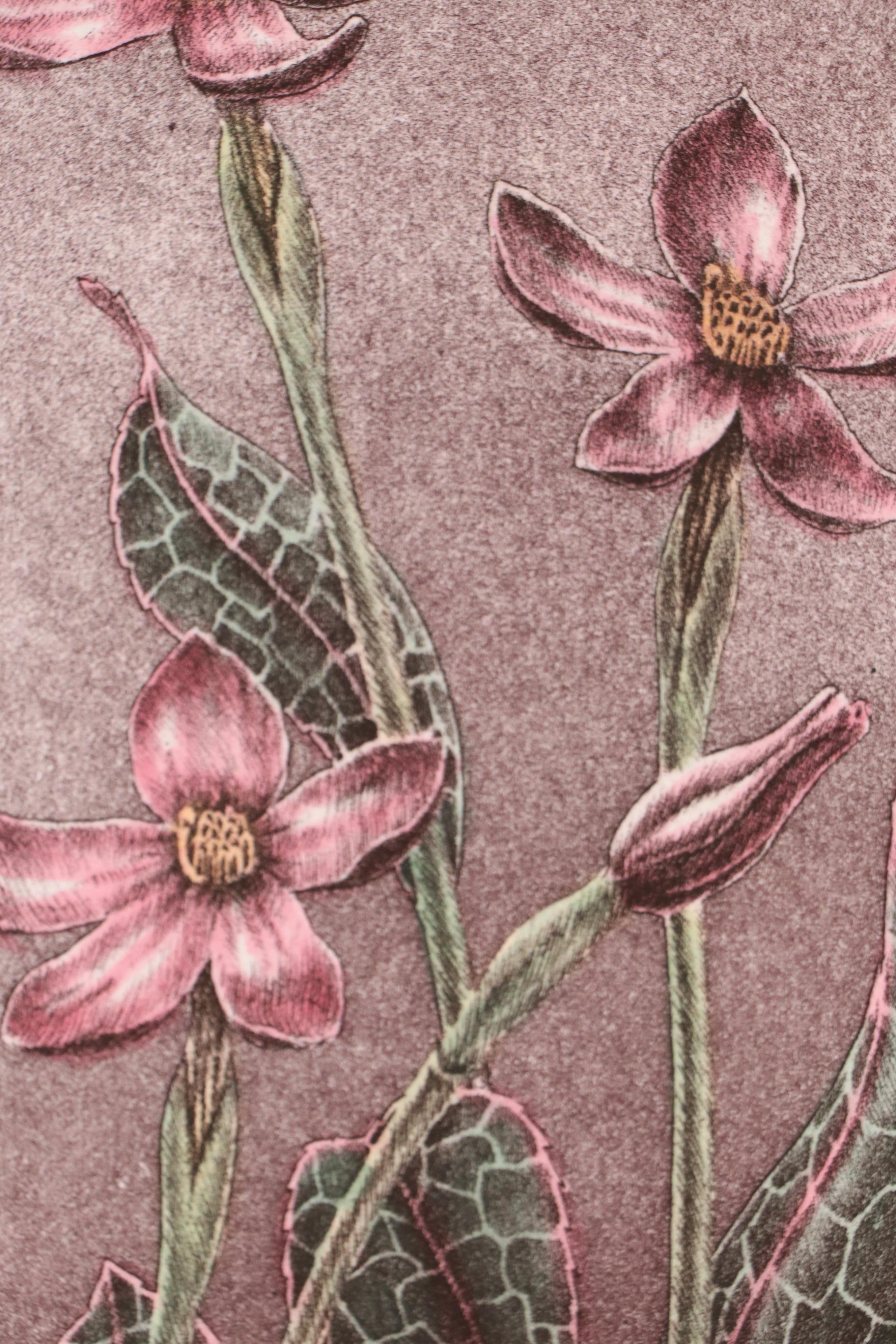 Botanical Etching Quadtych "Wild Flowers II"
