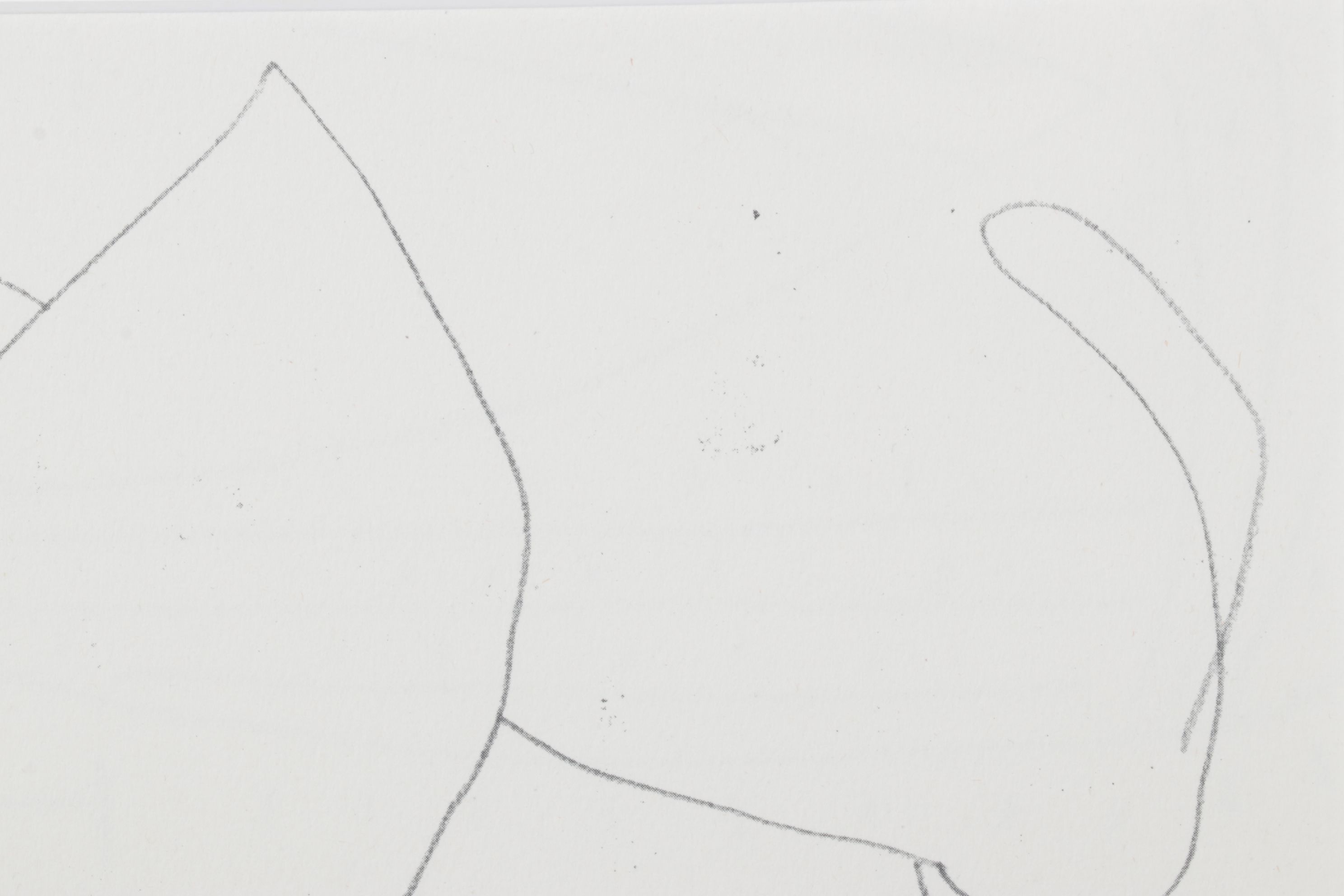 Offset Lithograph after Pablo Picasso "Matador con Muleta" Plate IV