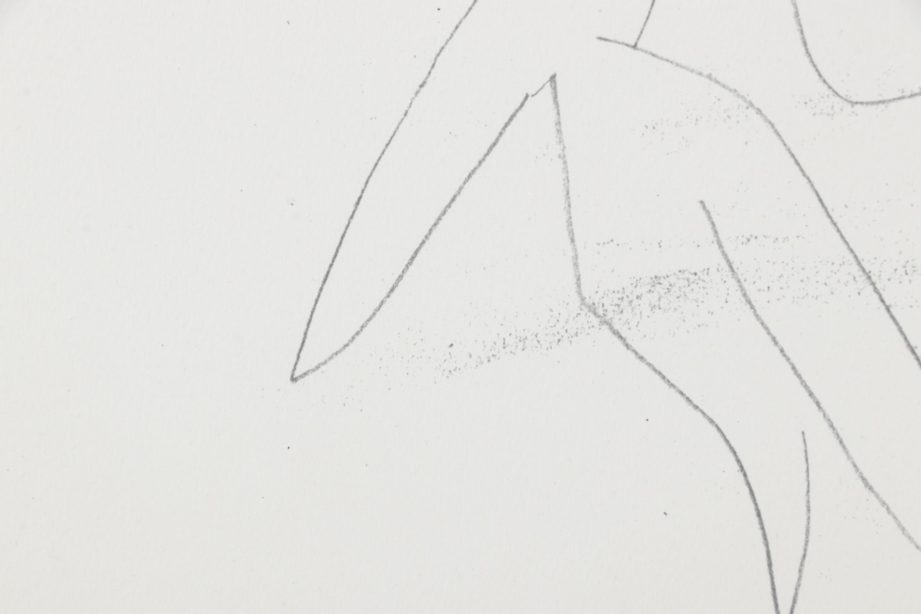 Offset Lithograph after Pablo Picasso "Matador con Muleta" Plate IV