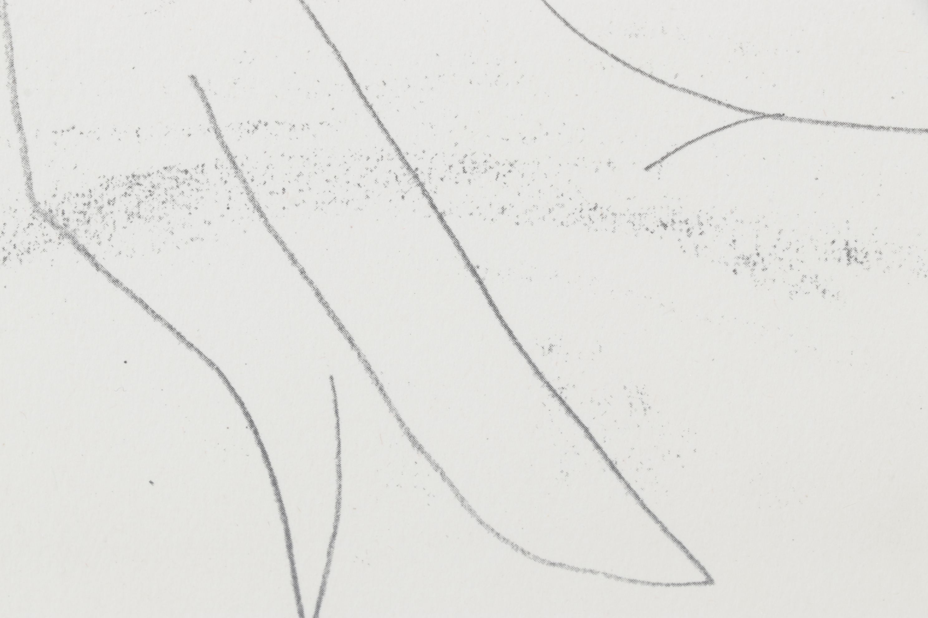 Offset Lithograph after Pablo Picasso "Matador con Muleta" Plate IV