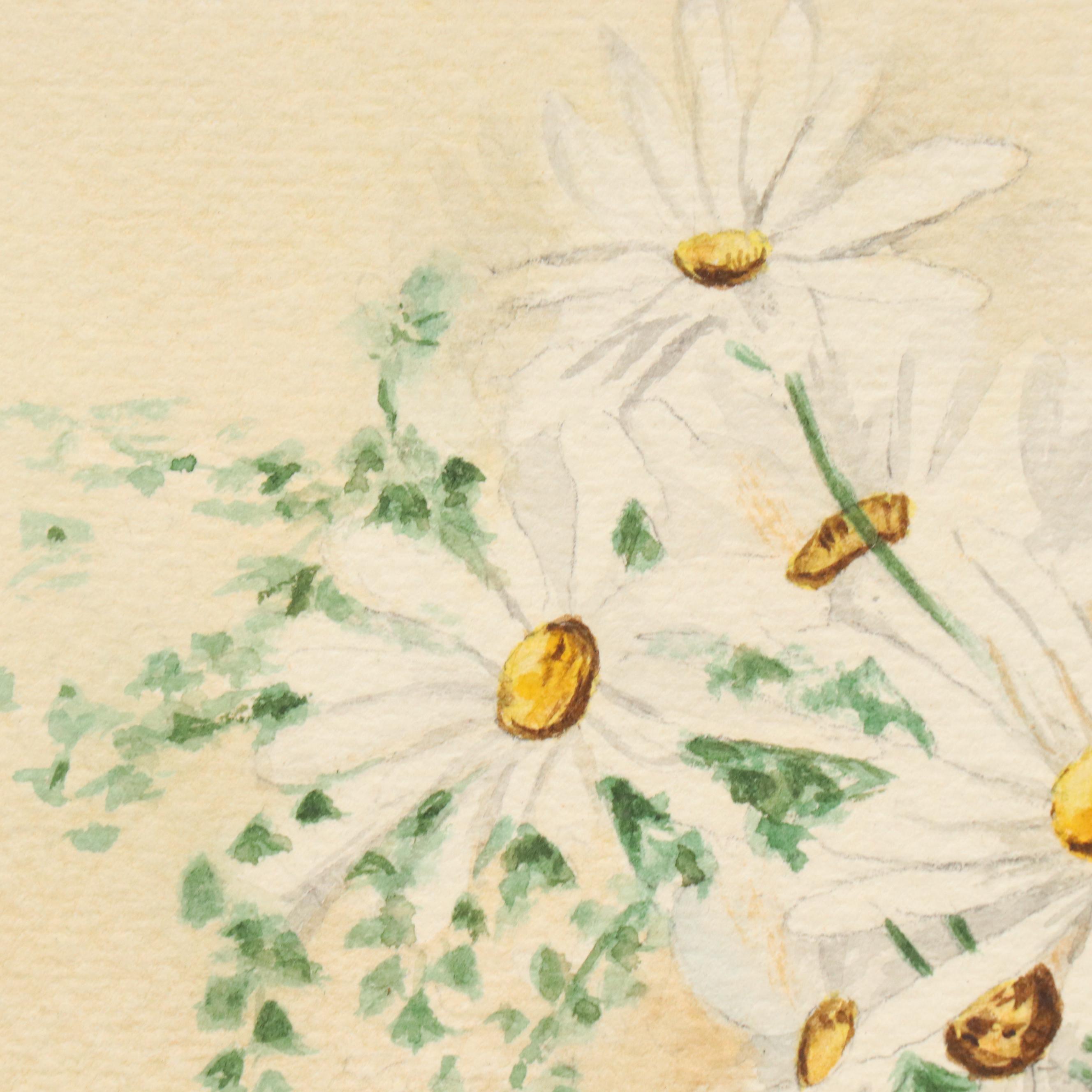 Still Life With Daisies Watercolor Painting