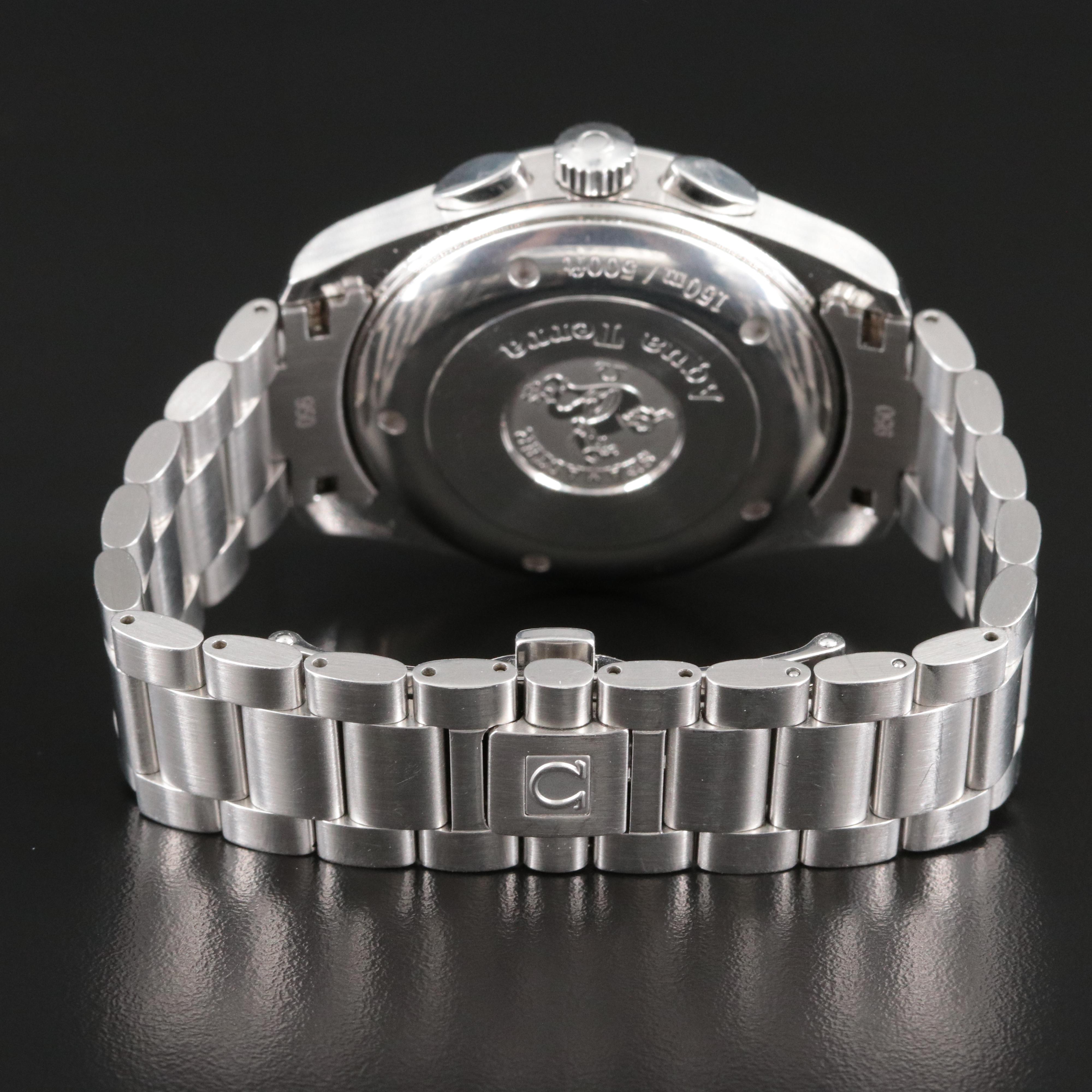 Omega Seamaster Aqua Terra Steel Chronometer 2512.50.00 Watch