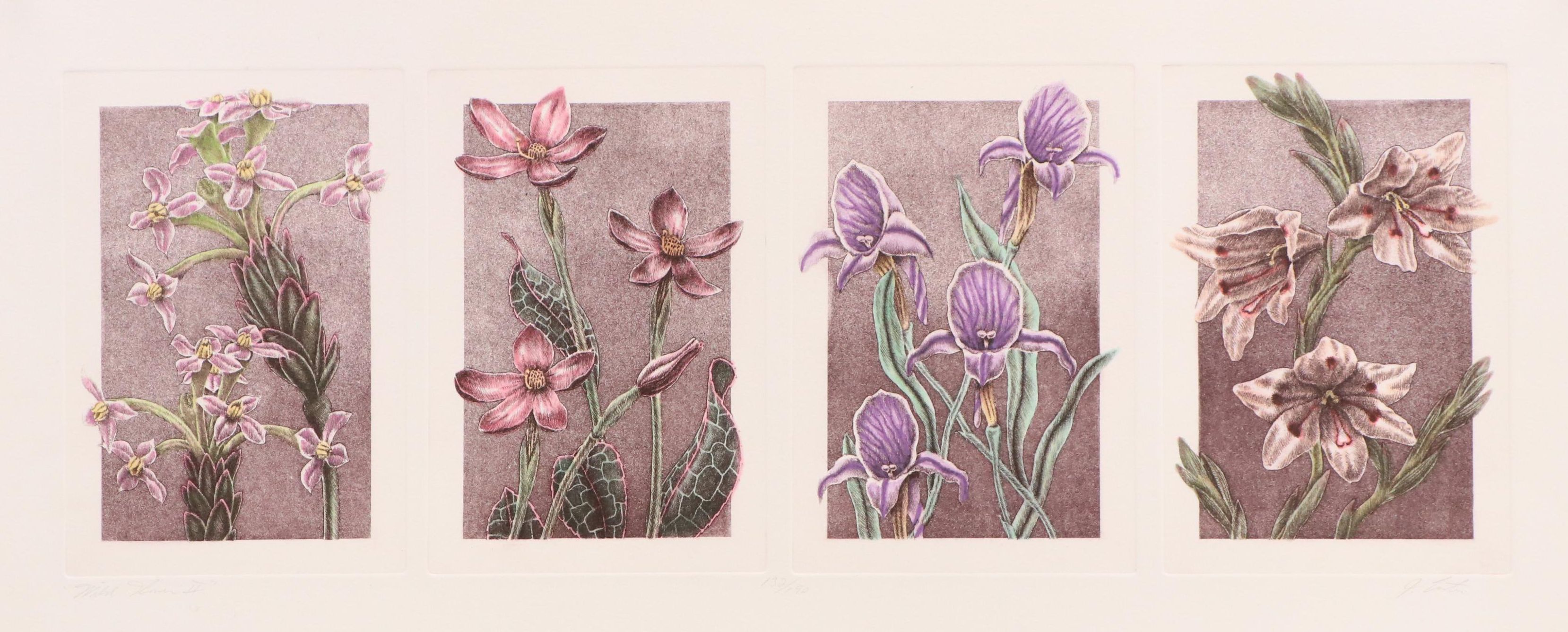 Botanical Etching Quadtych "Wild Flowers II"