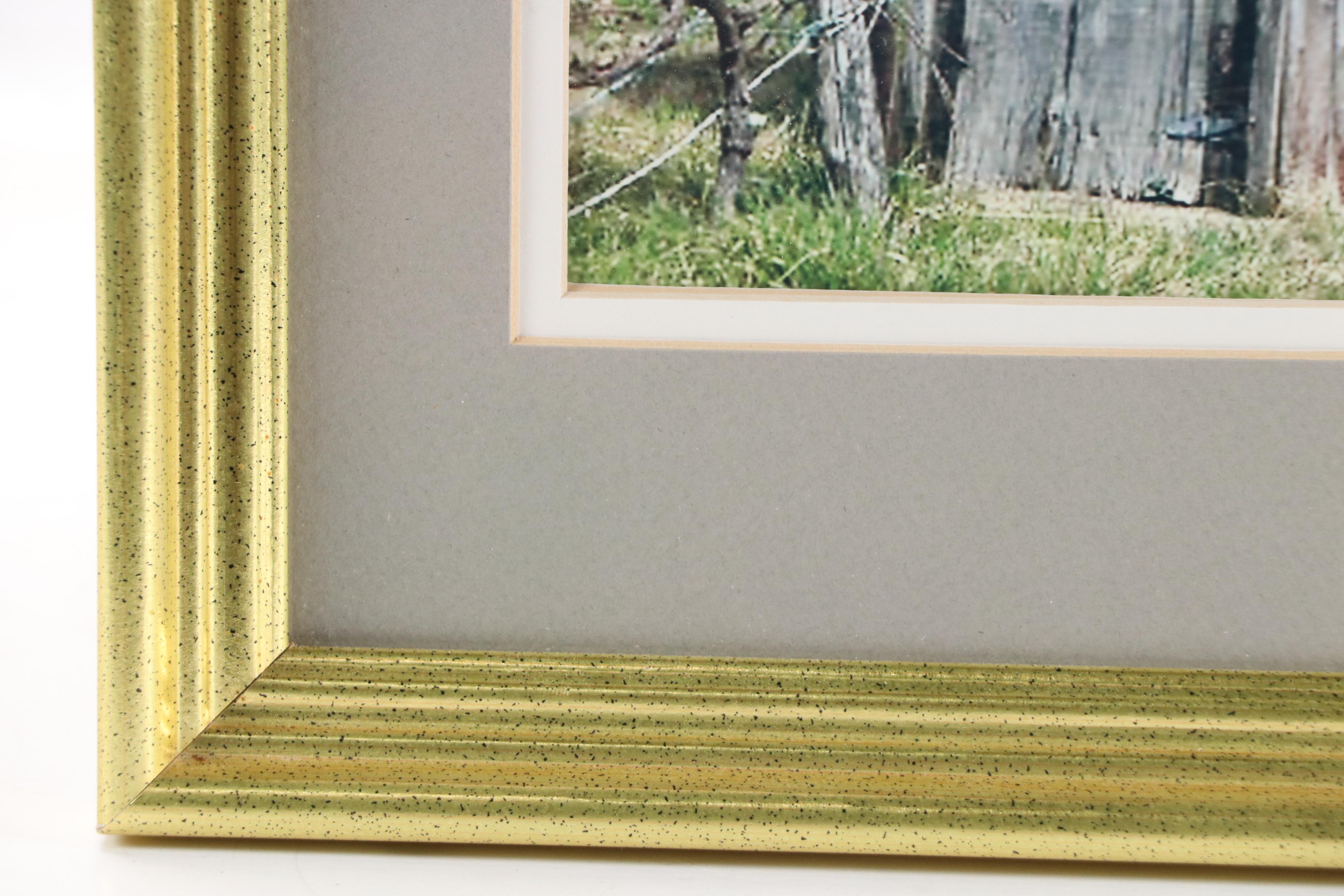 Digital Photograph of Wooden Outhouse, Circa 2010