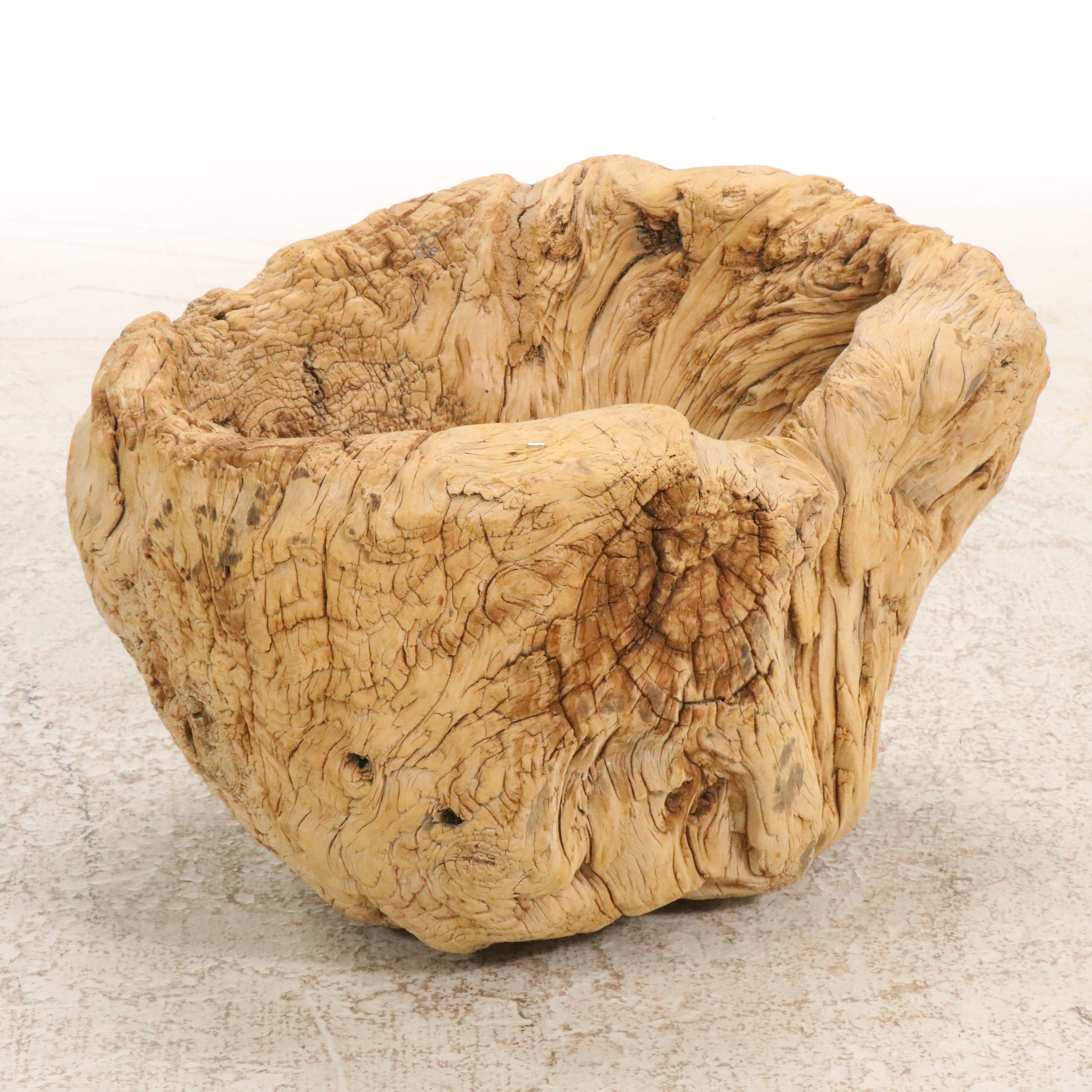 Natural Root Burl Planter