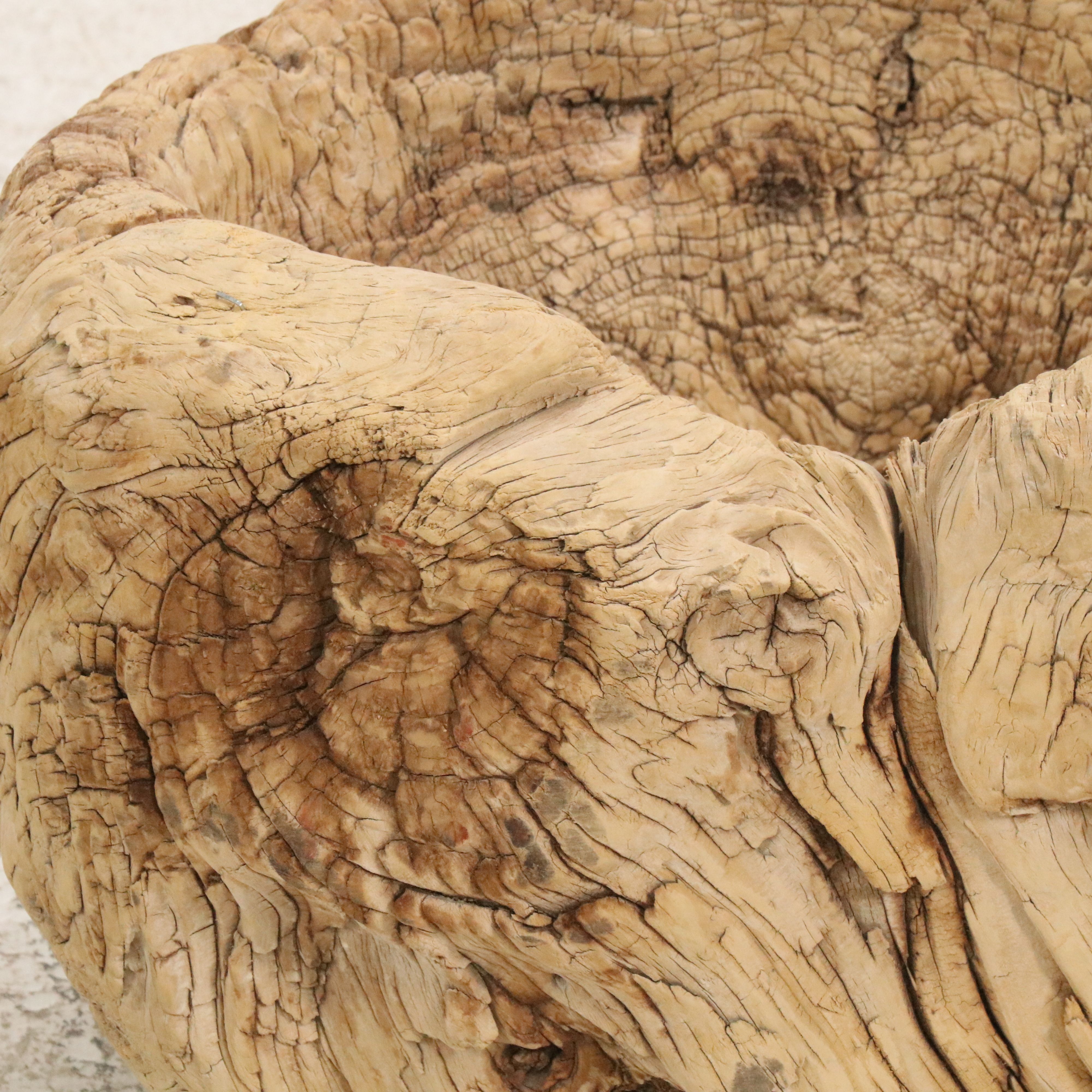 Natural Root Burl Planter