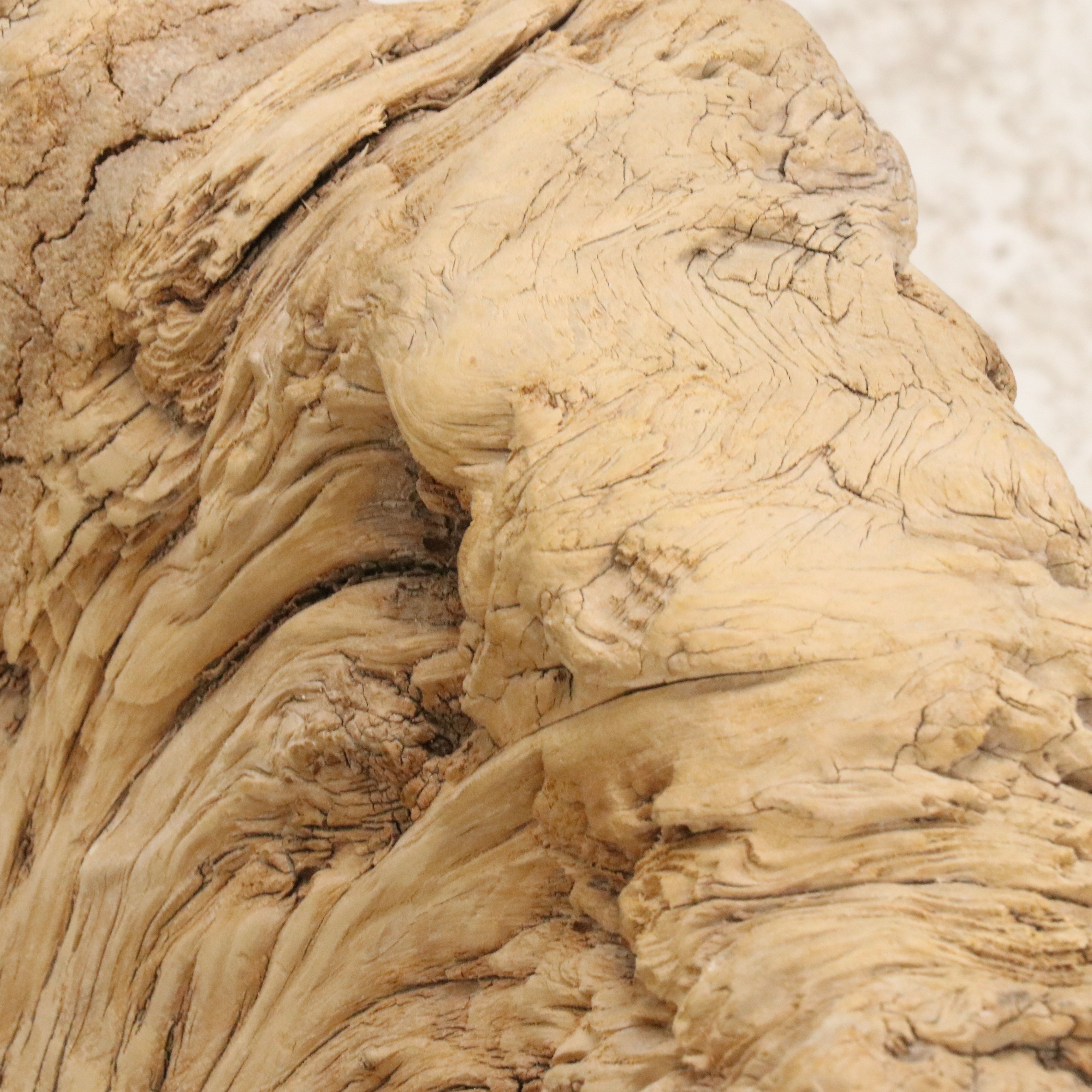 Natural Root Burl Planter